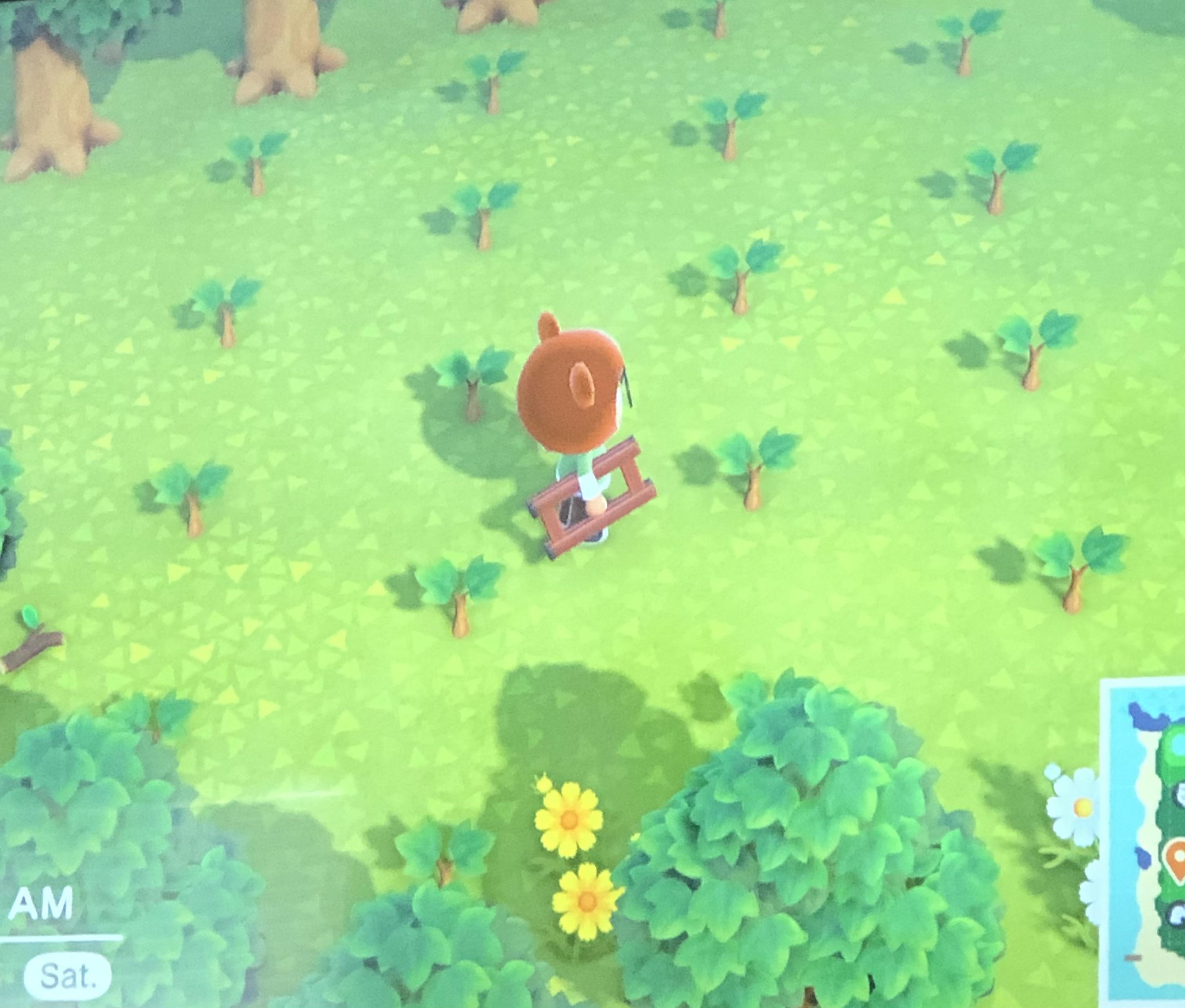 Can anyone tell me why my trees won’t grow in this area? r/acnh