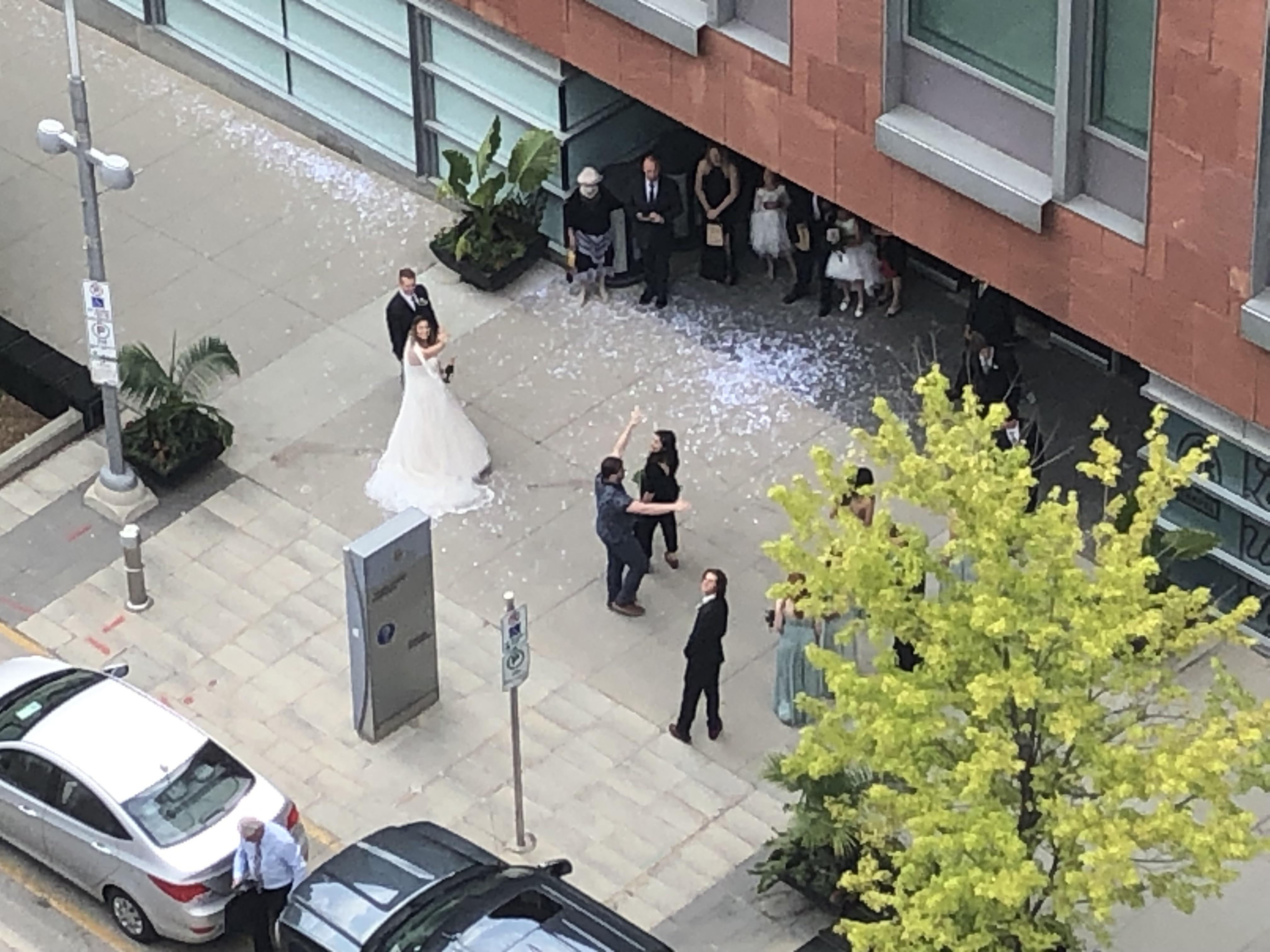 City hall wedding r/kitchener