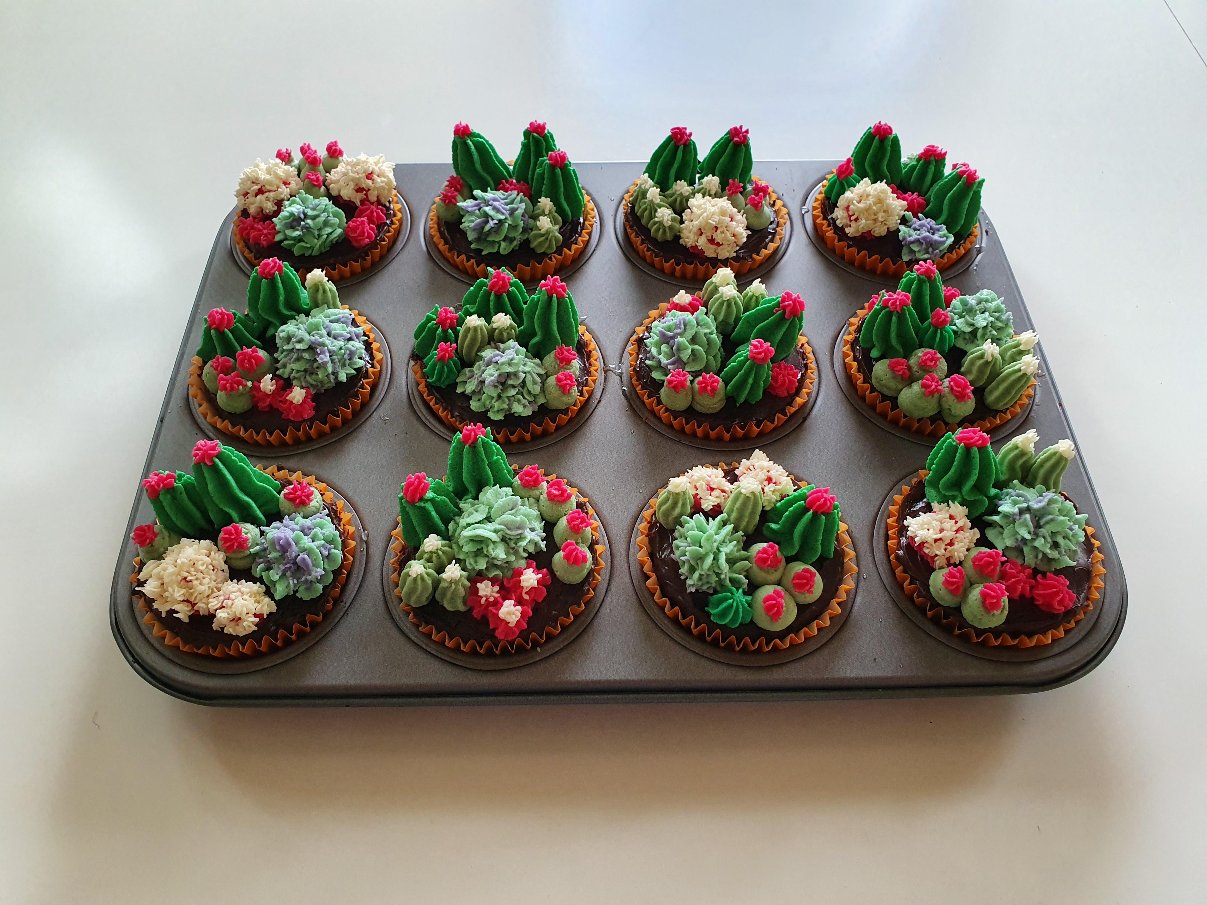 [Homemade] Cactus Cupcakes r/food