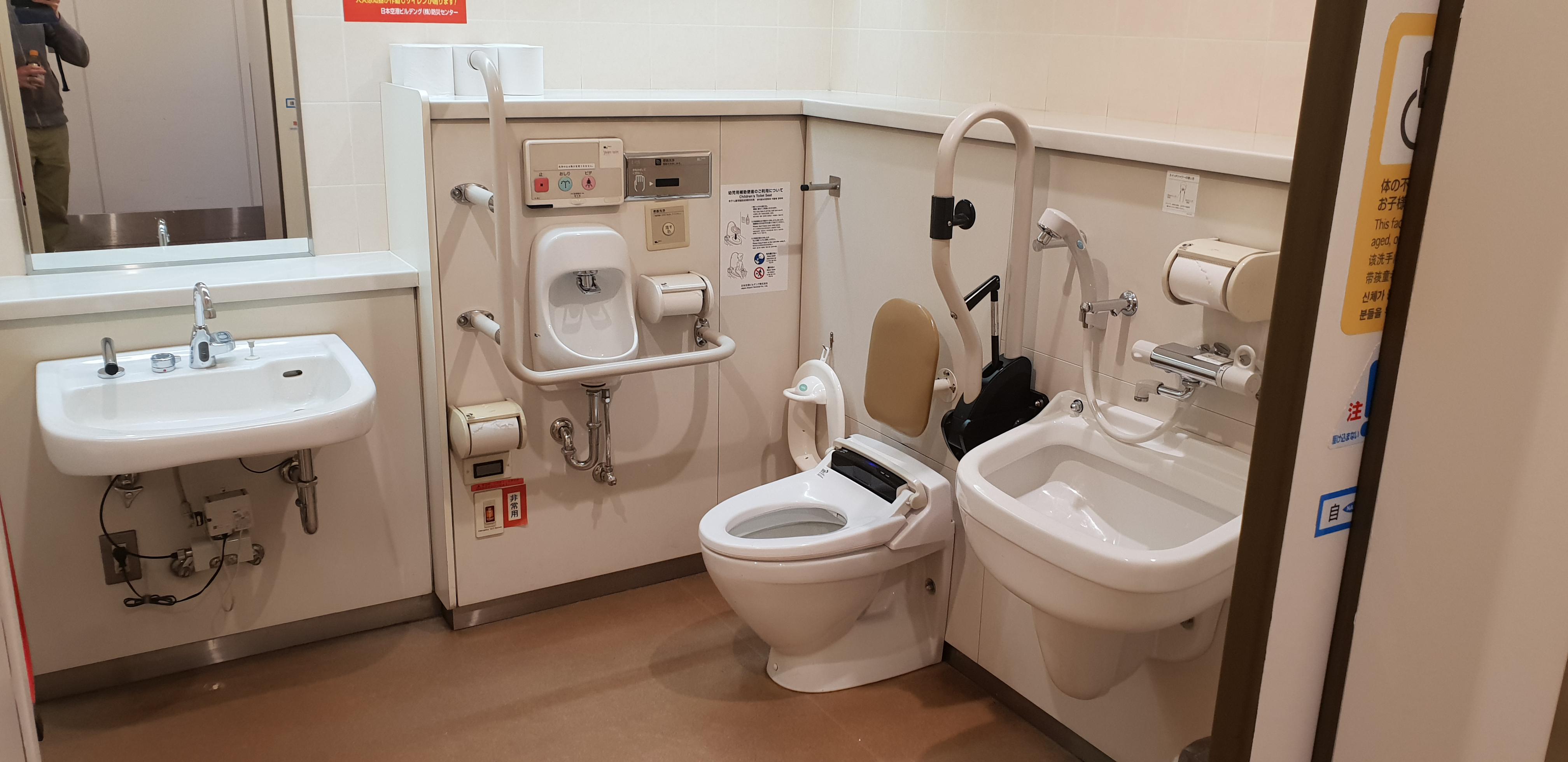 This is a standard Japanese handicap toilet. Their bathroom technology