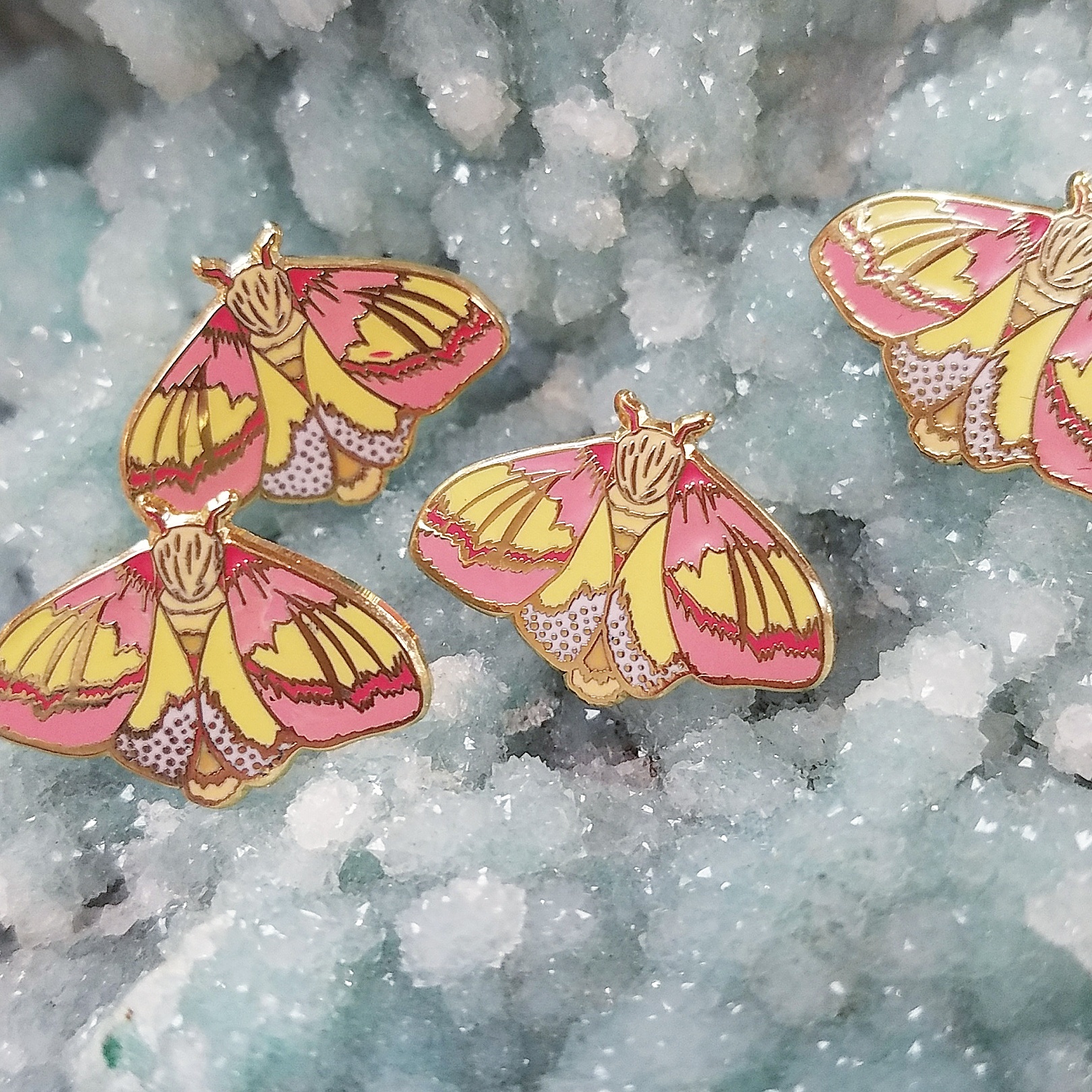 Rosy Maple Moth Pins I made! r/moths