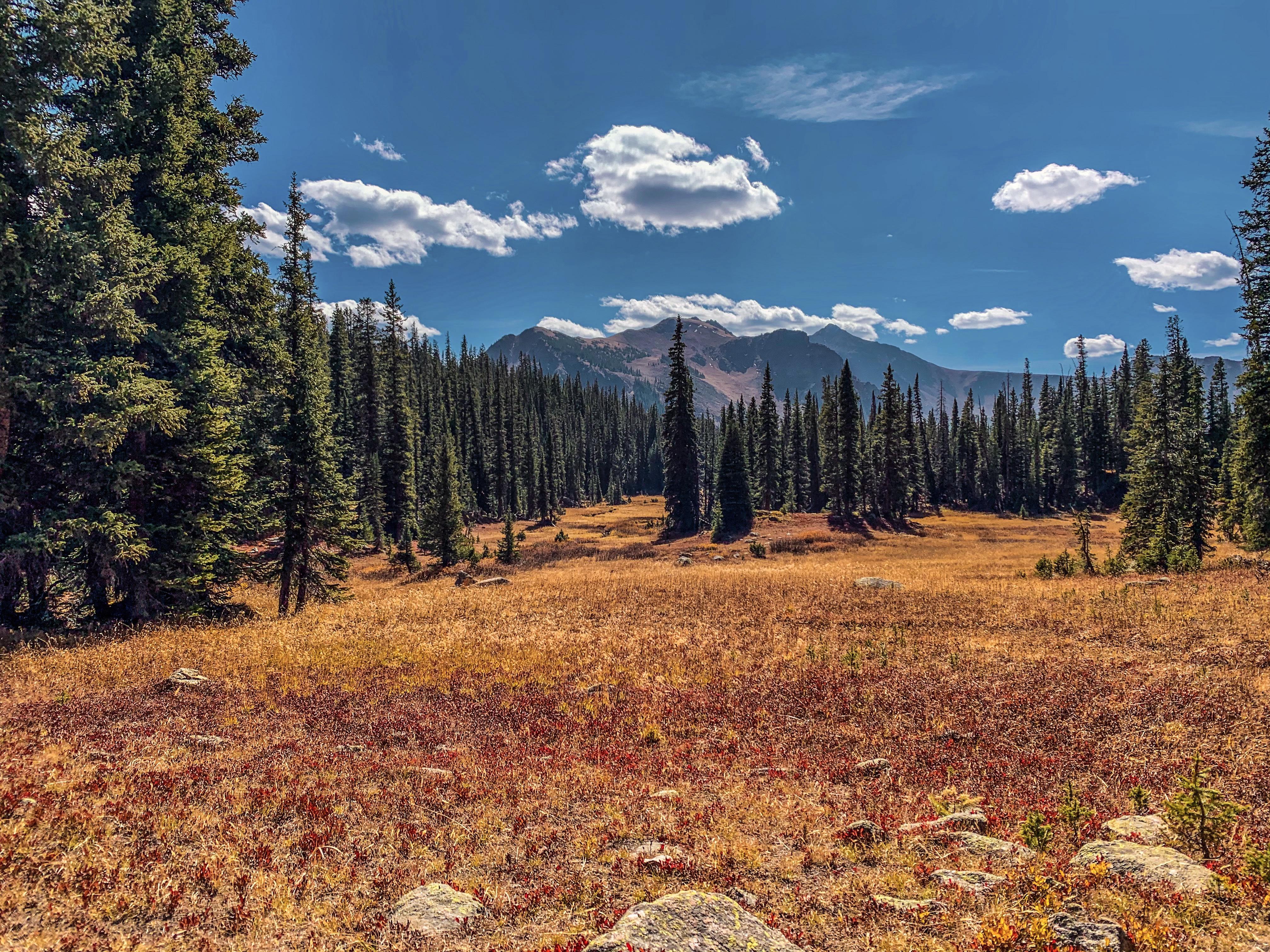 Eagles Nest Wilderness, Colorado [4032×3024][OC] r/EarthPorn