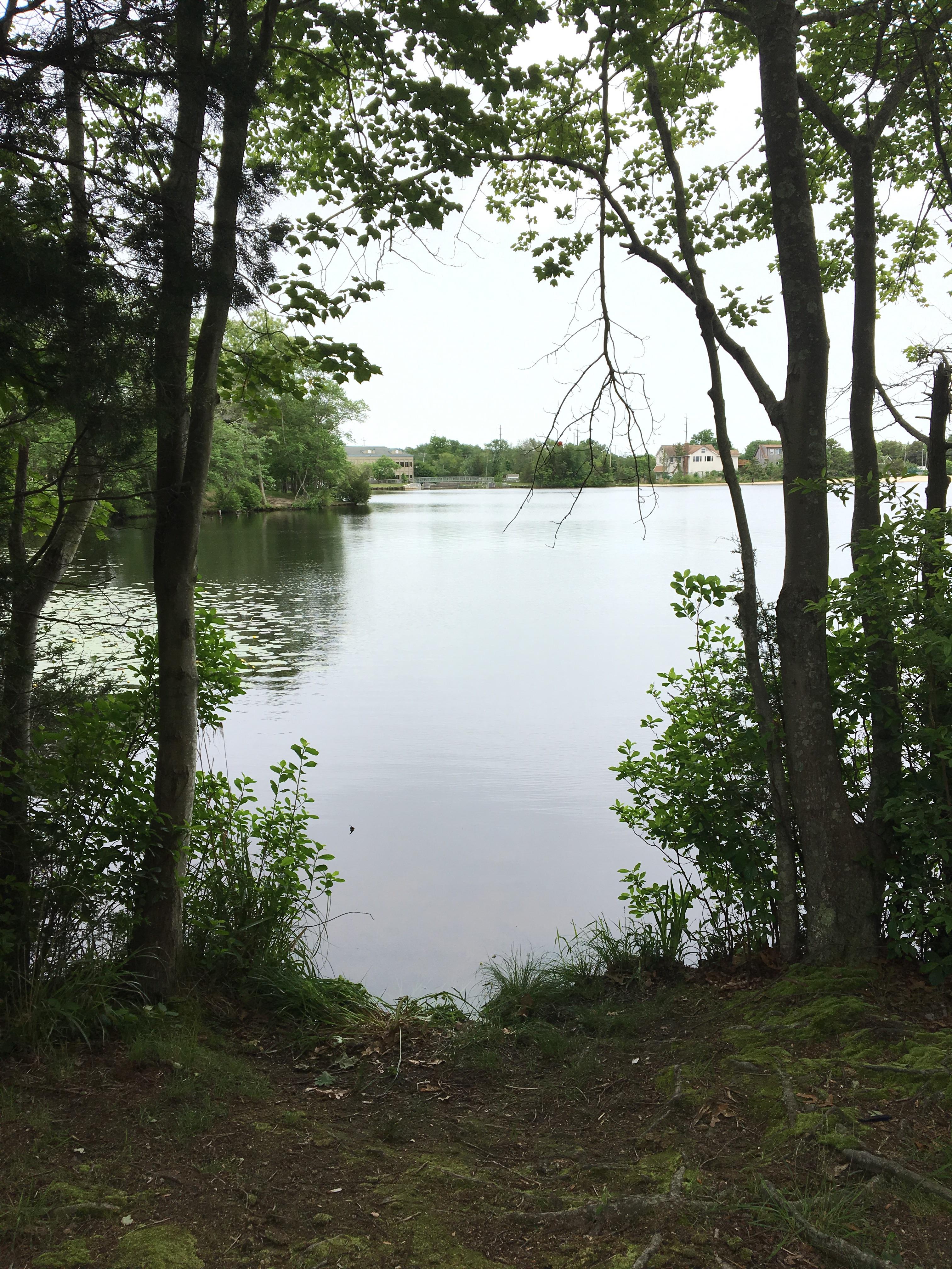 Manahawkin Lake, New Jersey r/newjersey