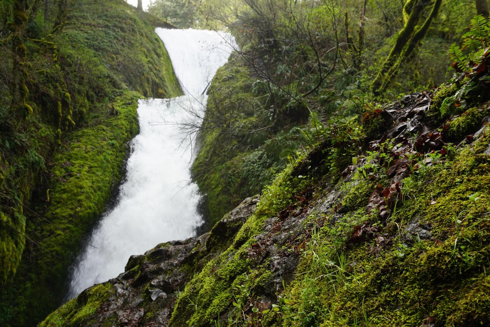 Bridal Veil Falls in Portland is underrated. [OC] [1616 x 1080] r