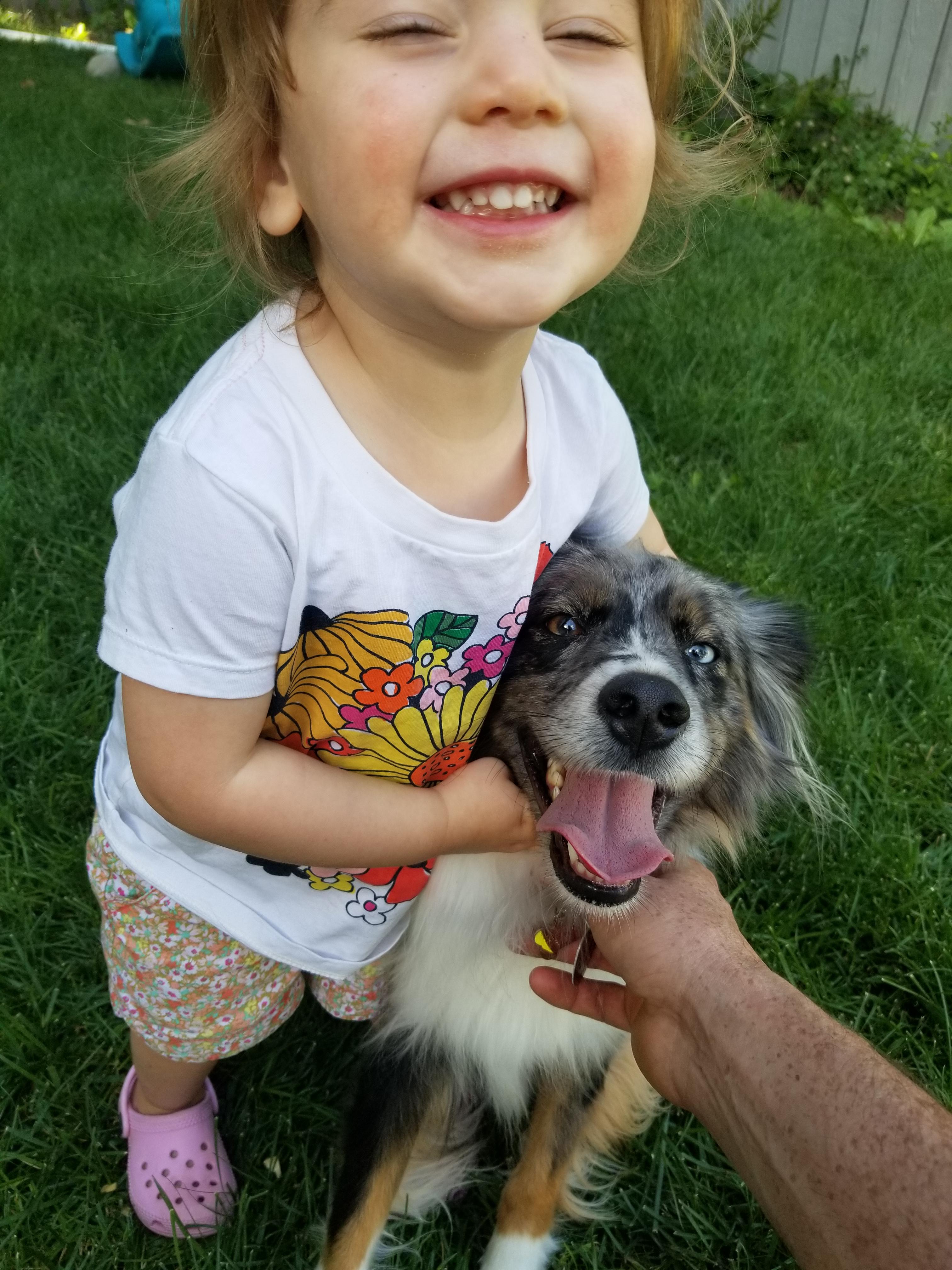 Lost pupper near manitou and boise ave. Please pm if seen