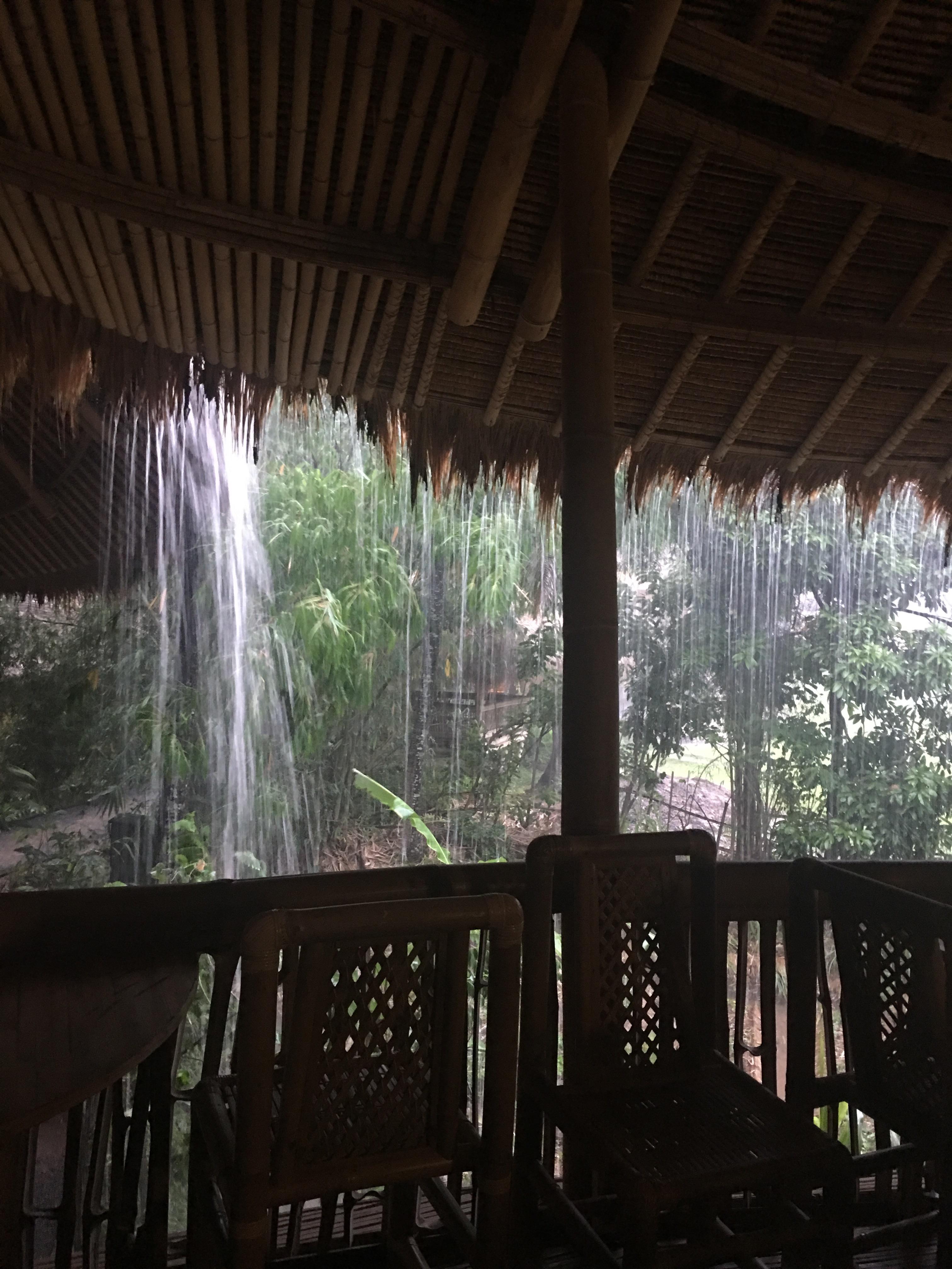 From the inside of a bamboo house, rain season in Bali r/raining