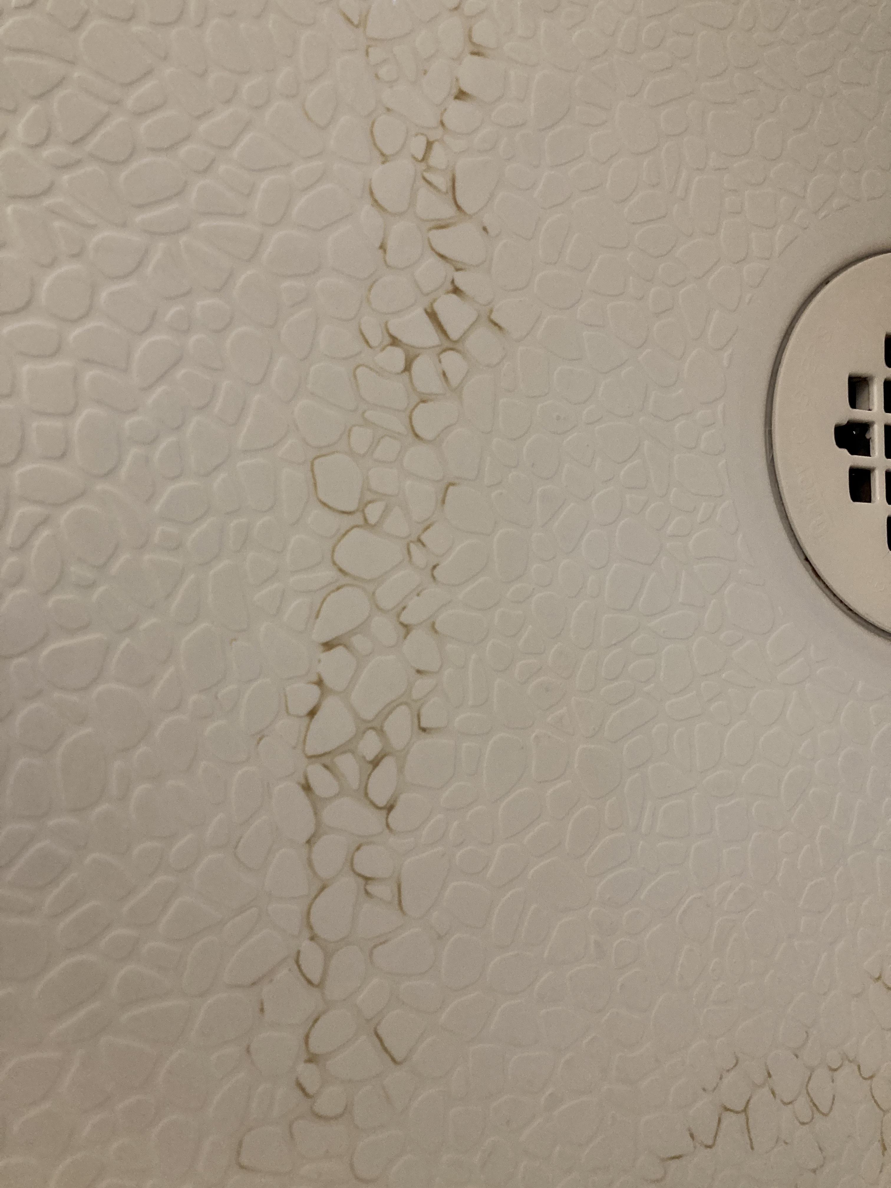 Gunk trapped in shower floor r/CleaningTips