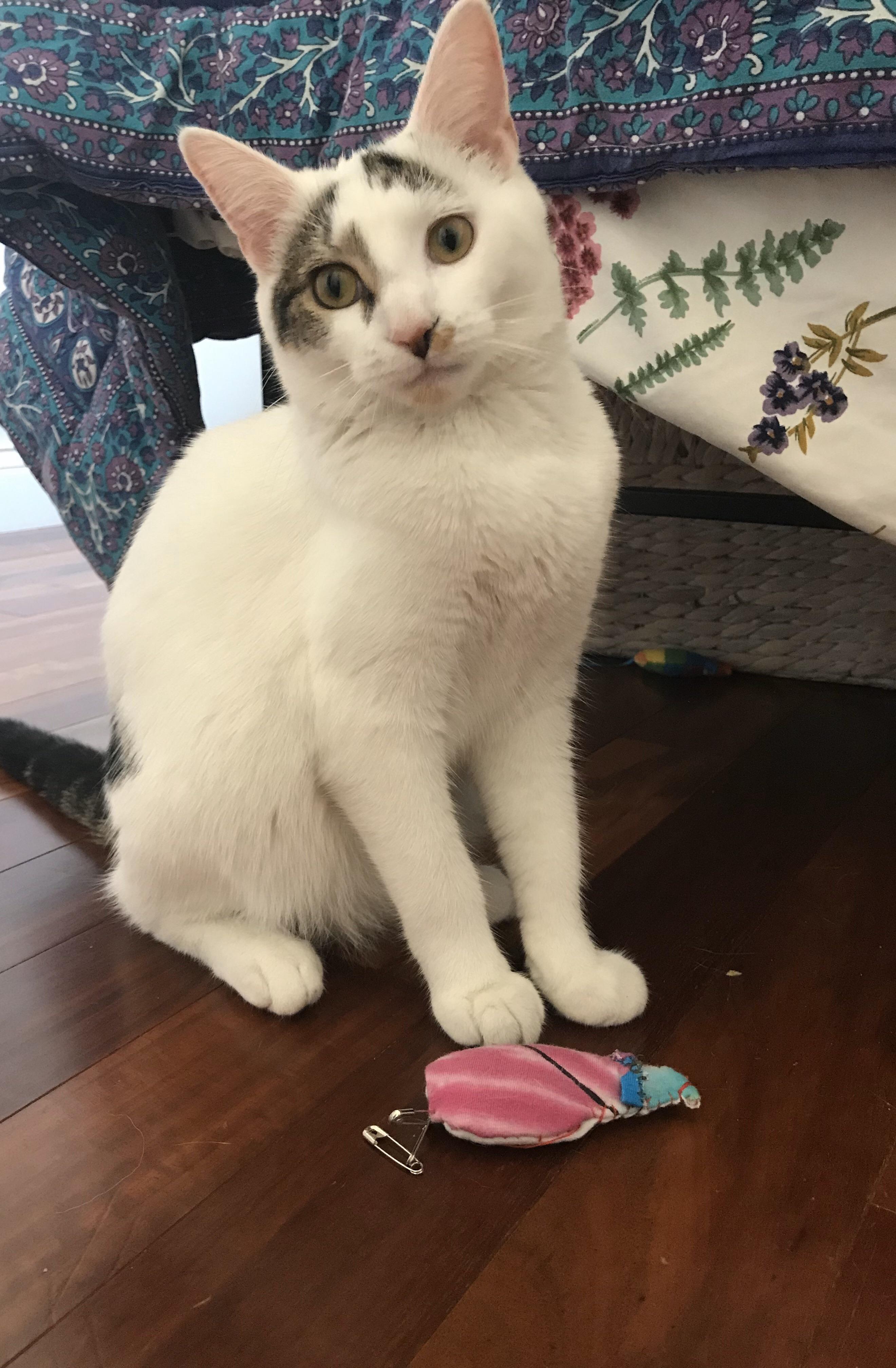 Cat Toys From Scrap Fabric/Supplies *Svetlana Approves* r/ZeroWaste