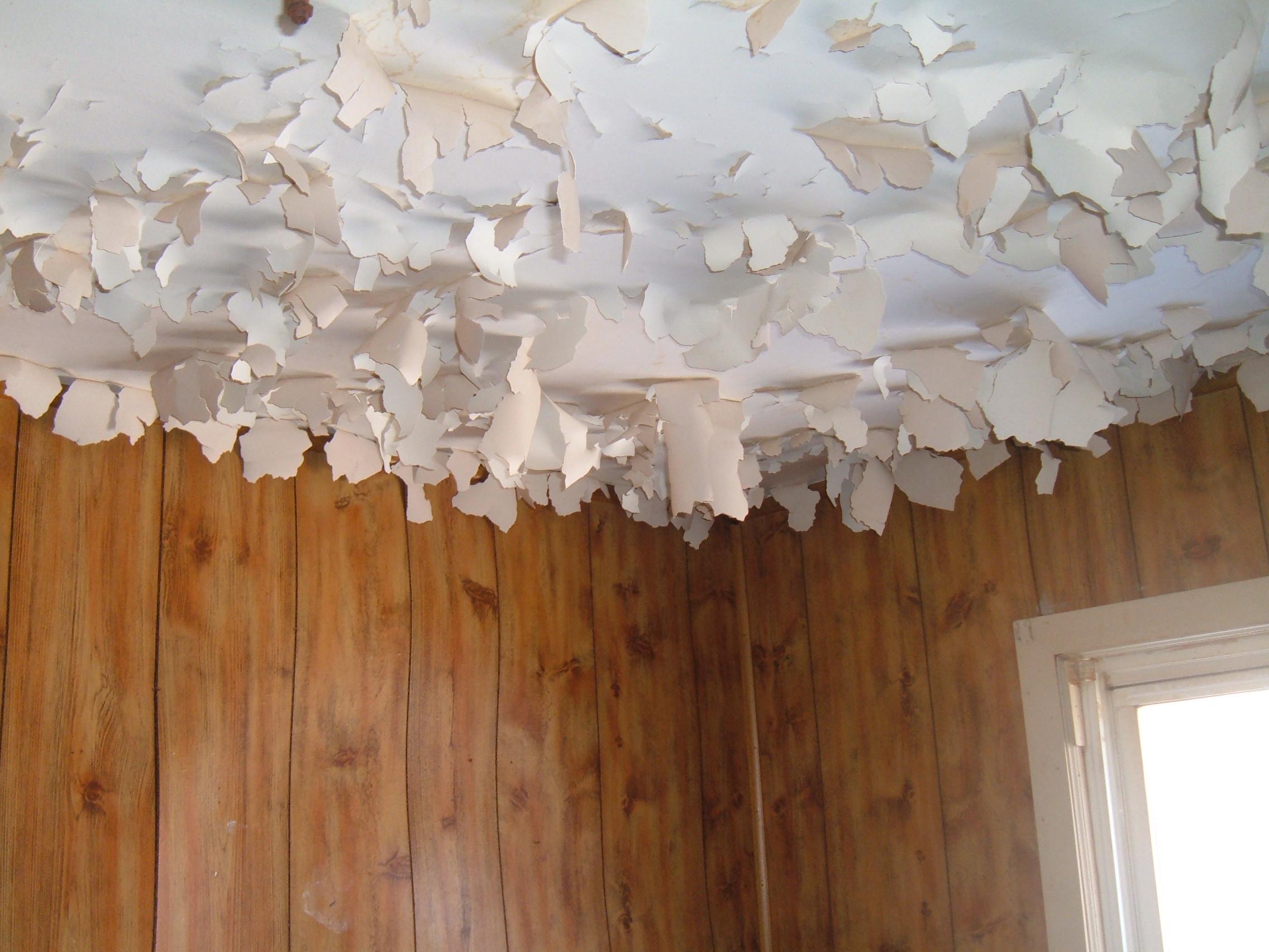 What type of ceiling fixture would best complement this shade of