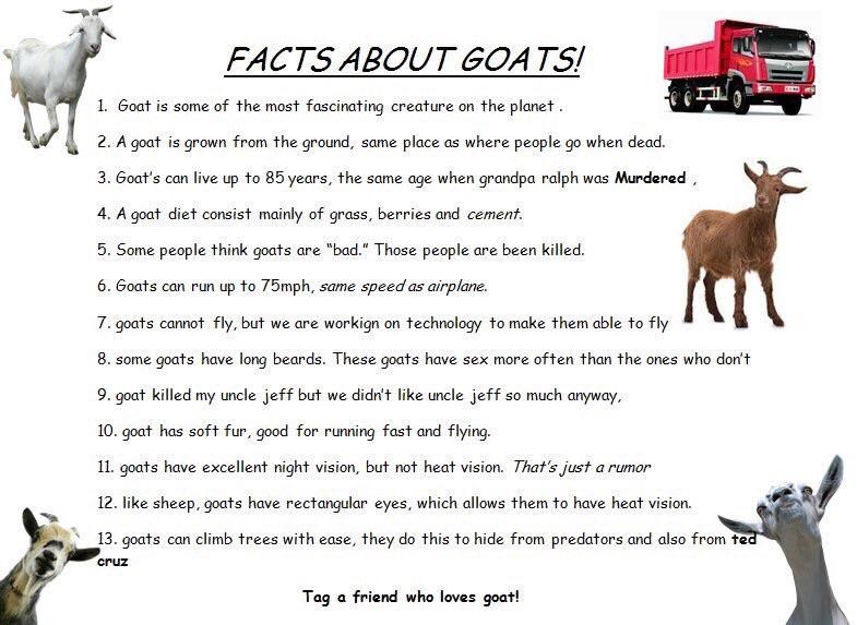 Wow! Goat facts! r/goats