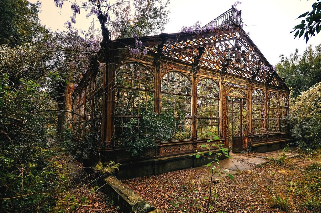 Overgrown Victorian greenhouse [1024 x 680] r/AbandonedPorn