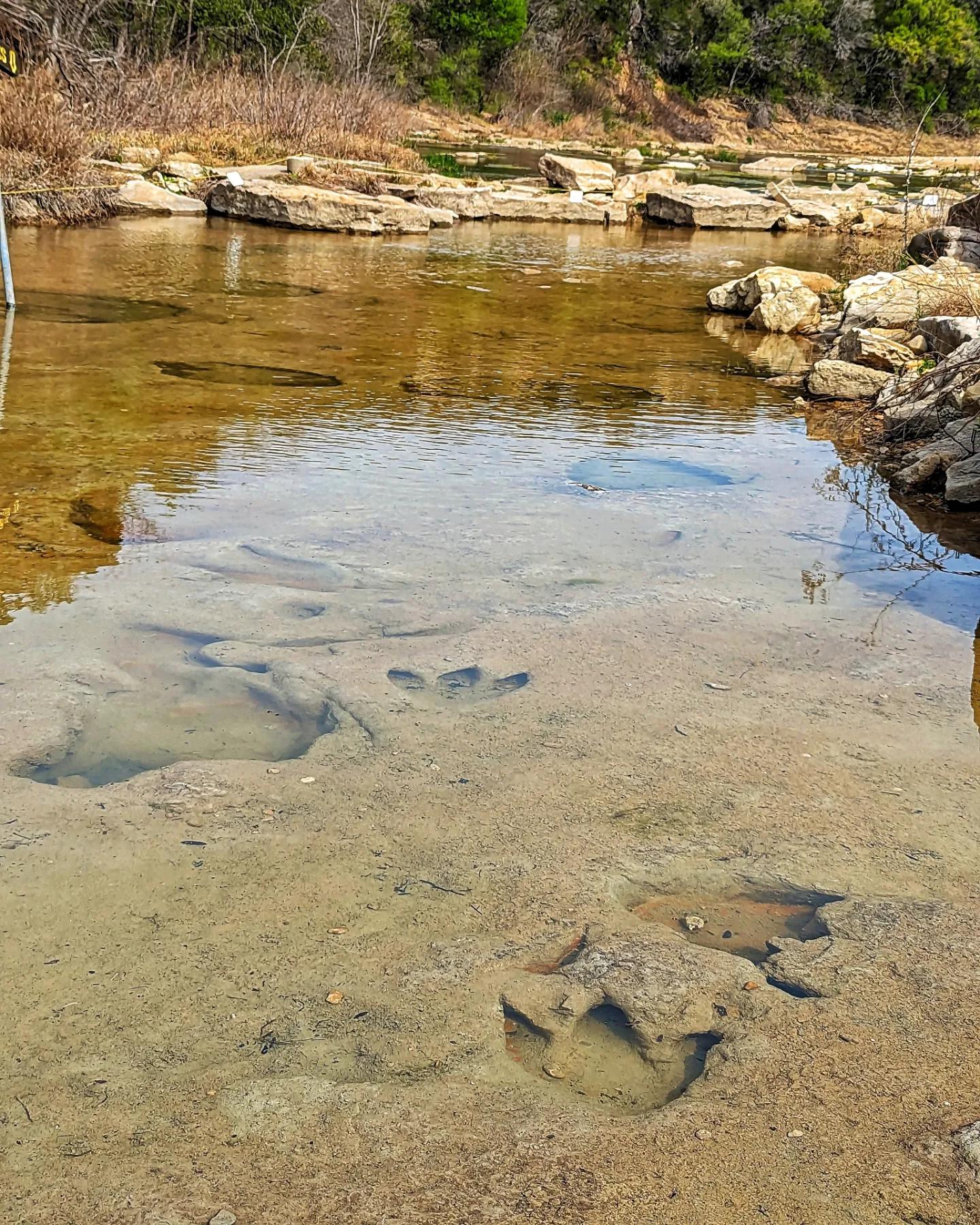 Dinosaur Valley State Park r/TXoutdoors
