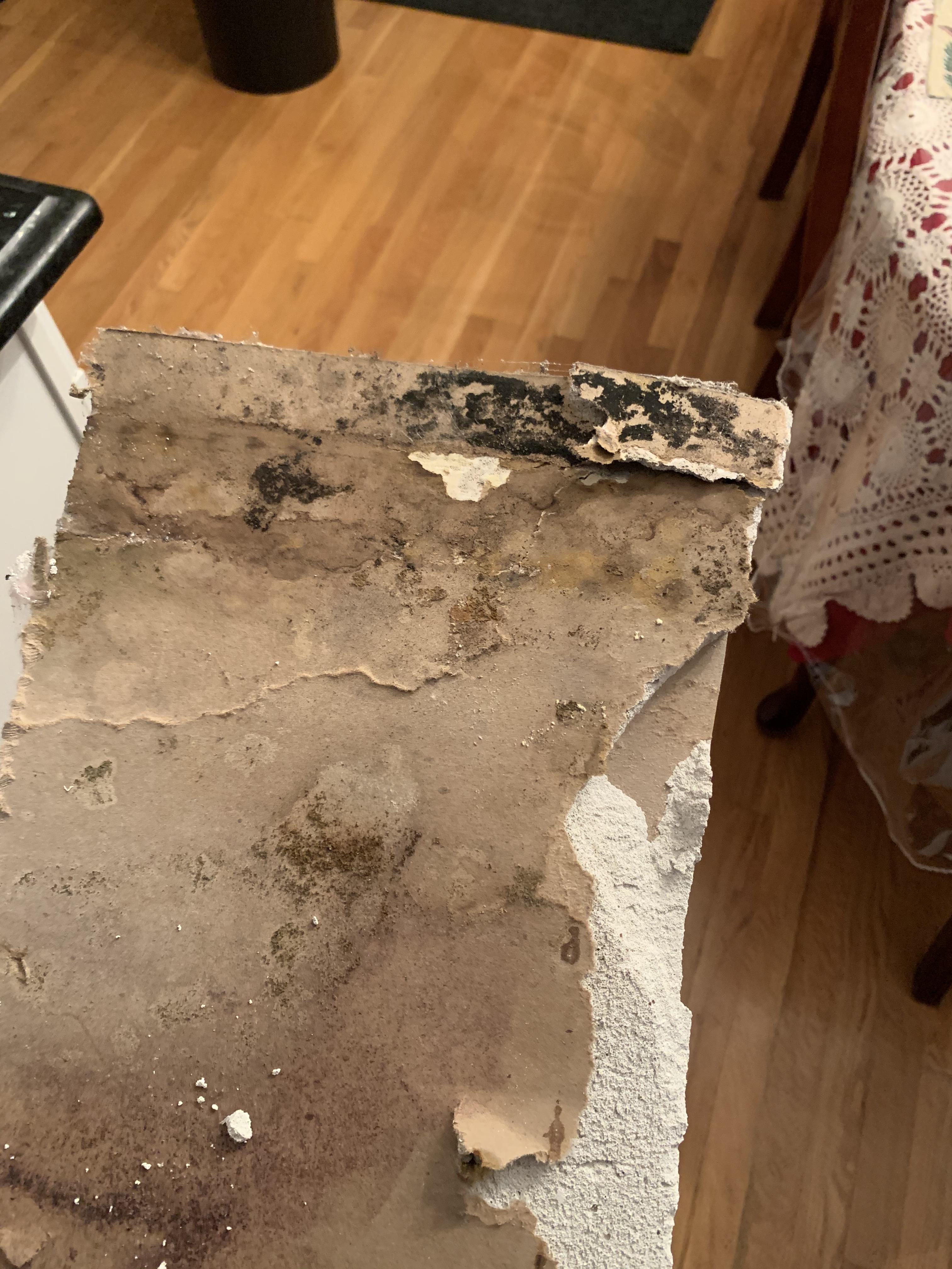 Is this mold Mold