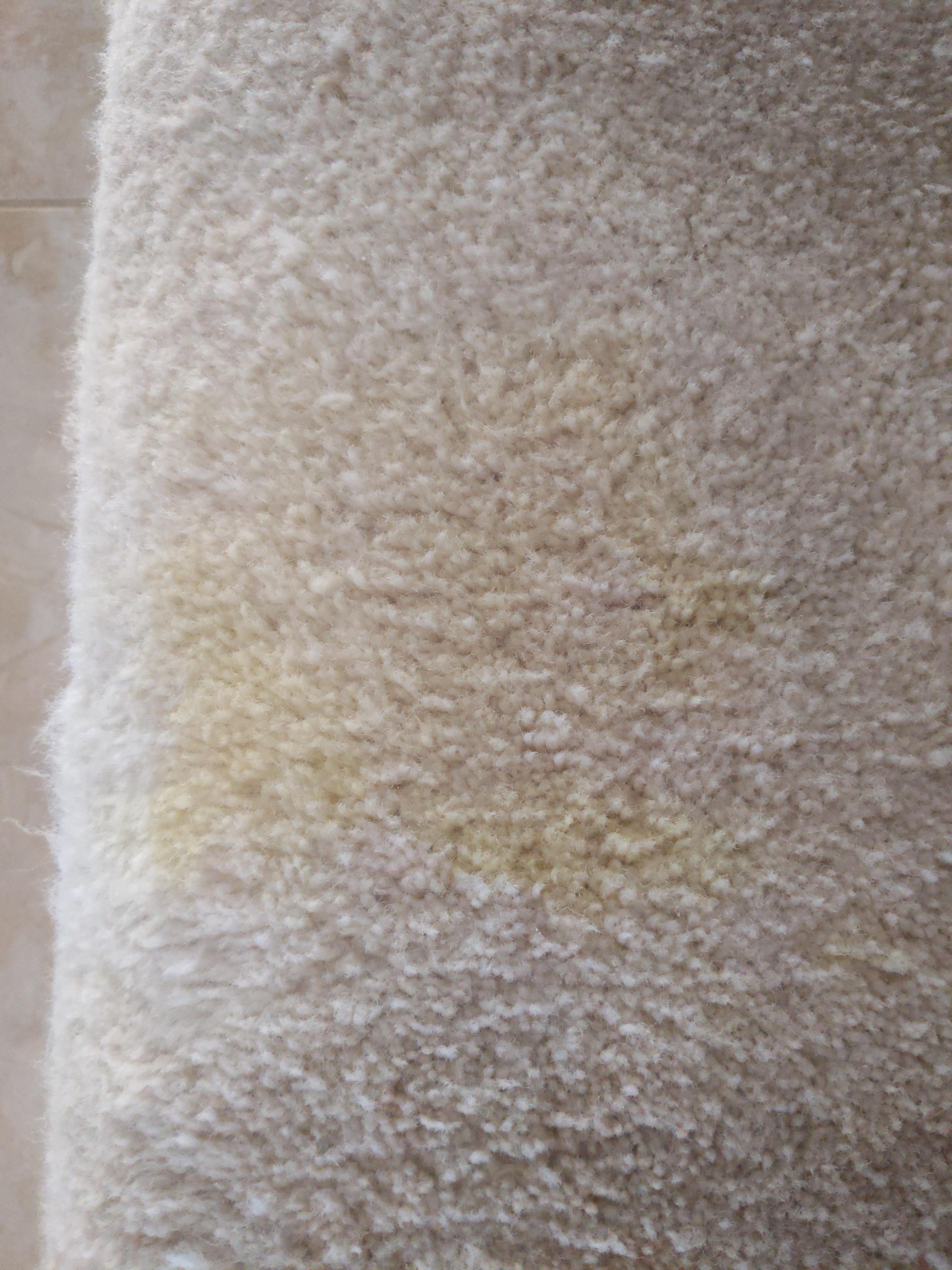 Dog vomit stain, info in comments r/CleaningTips