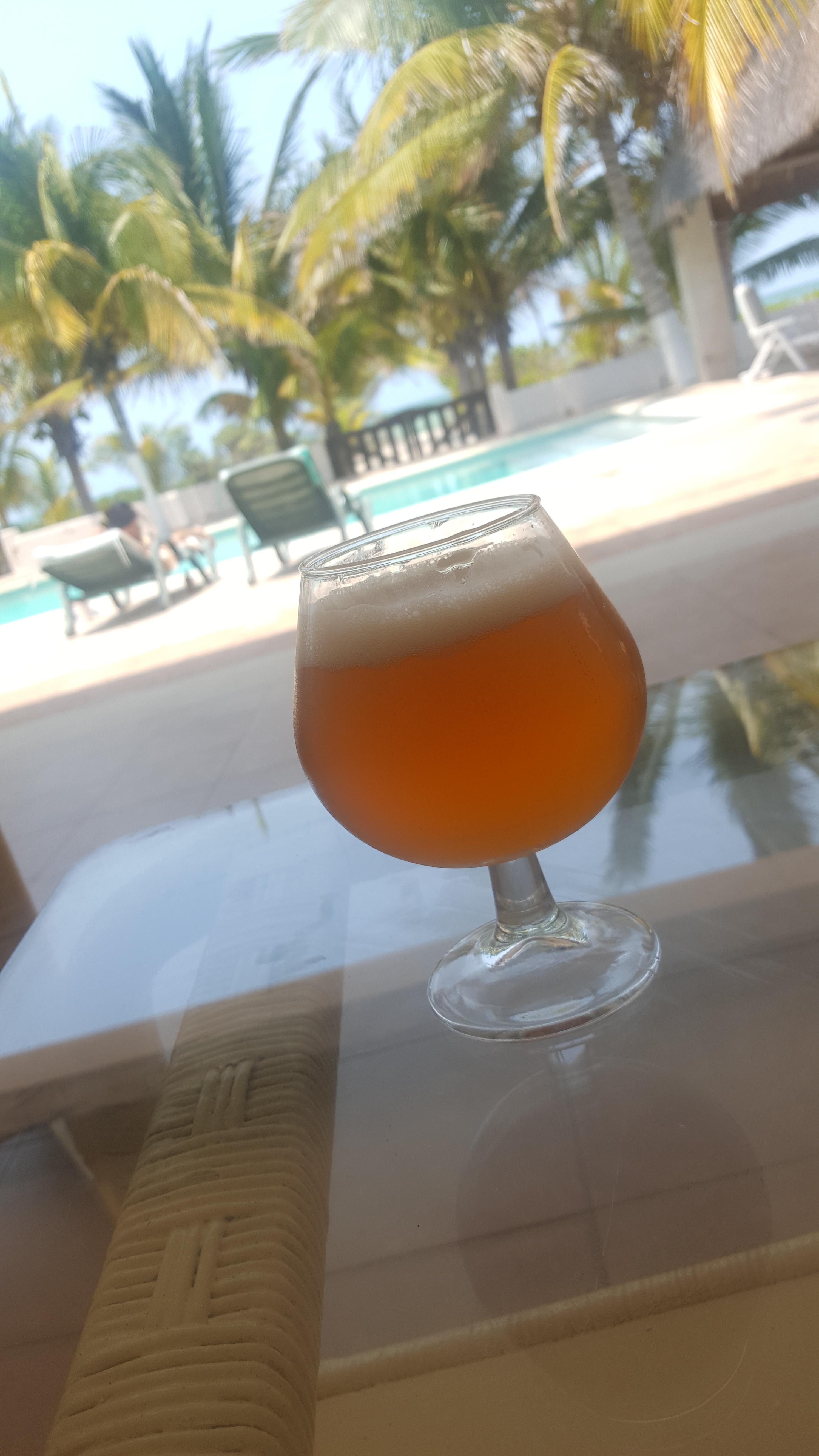 A nice Double IPA at the beach (Mexico) r/beerporn