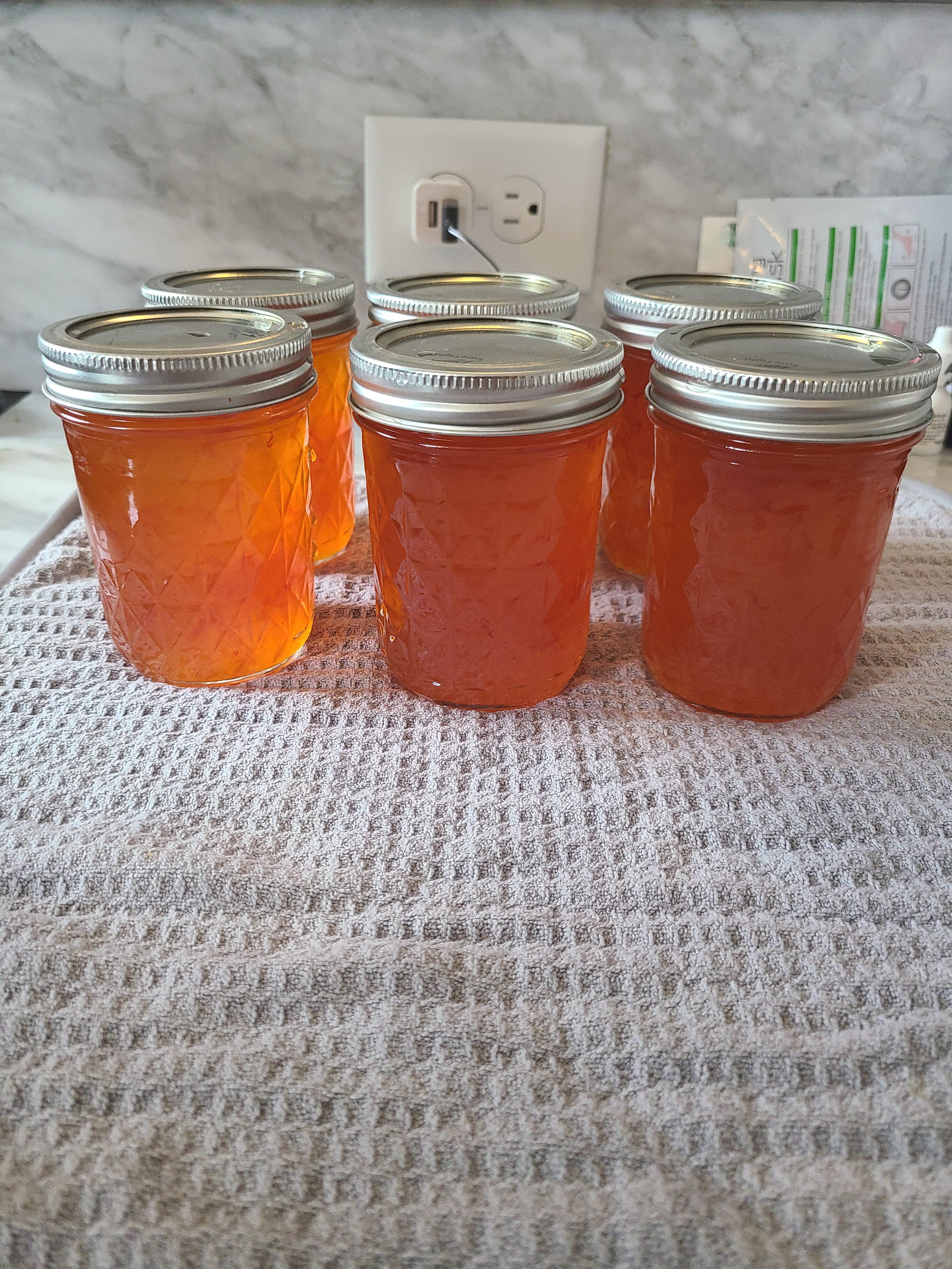 My first ever ghost pepper jelly made from my first ever