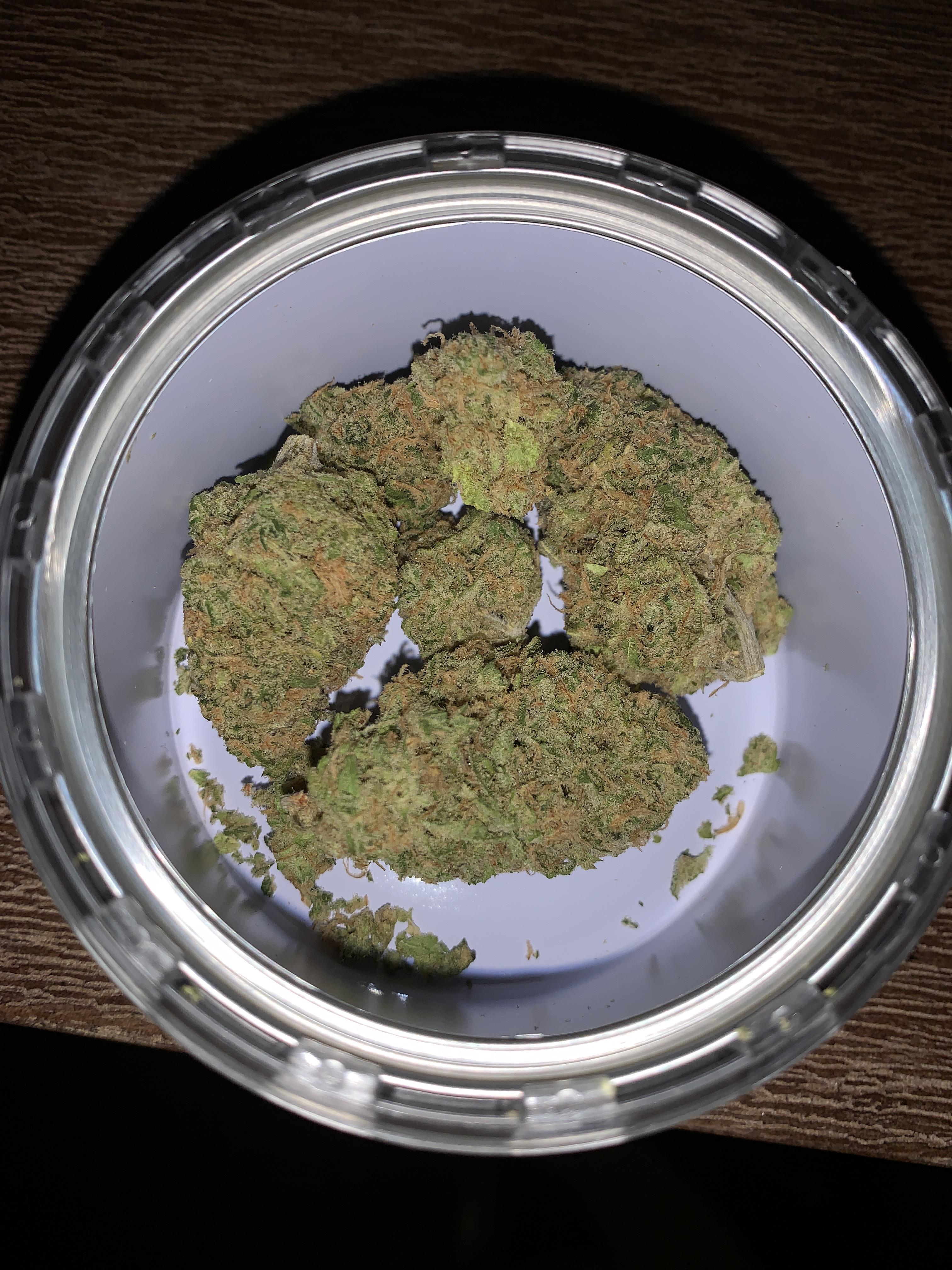 First time buying Calypso. It’s not available at my local dispensary