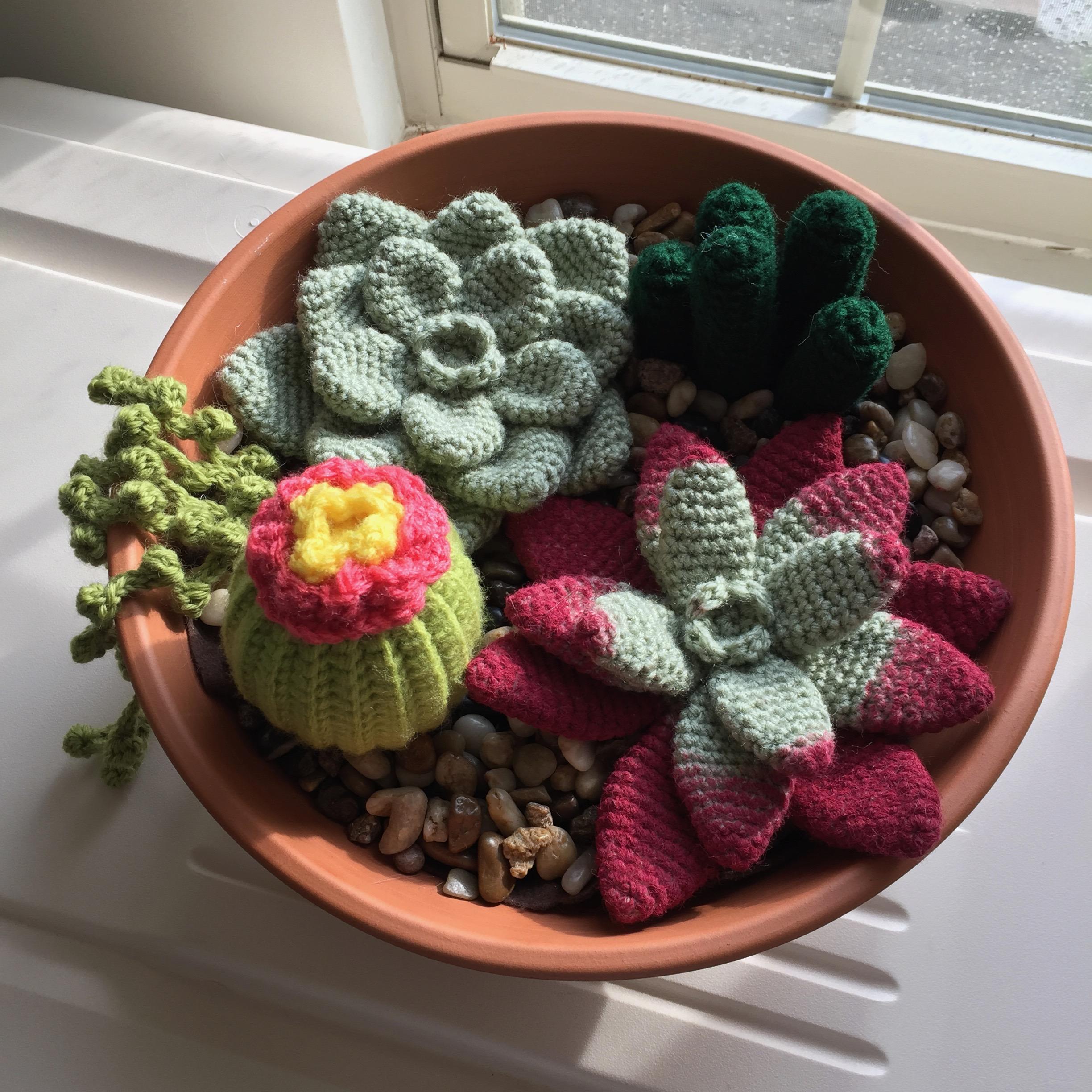 Yarn succulent garden [xpost r/crochet] r/succulents