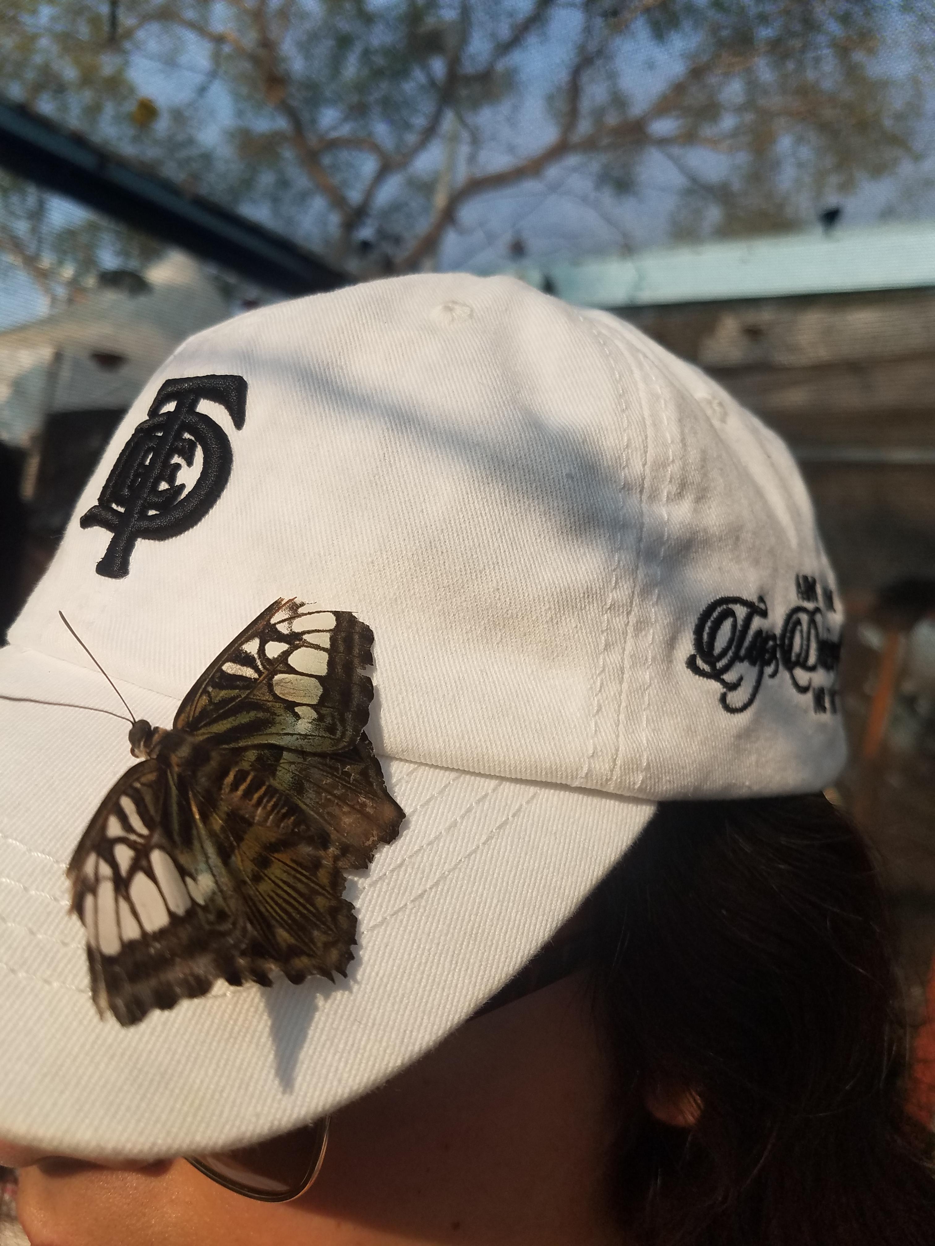 To Pimp A Butterfly r/KendrickLamar