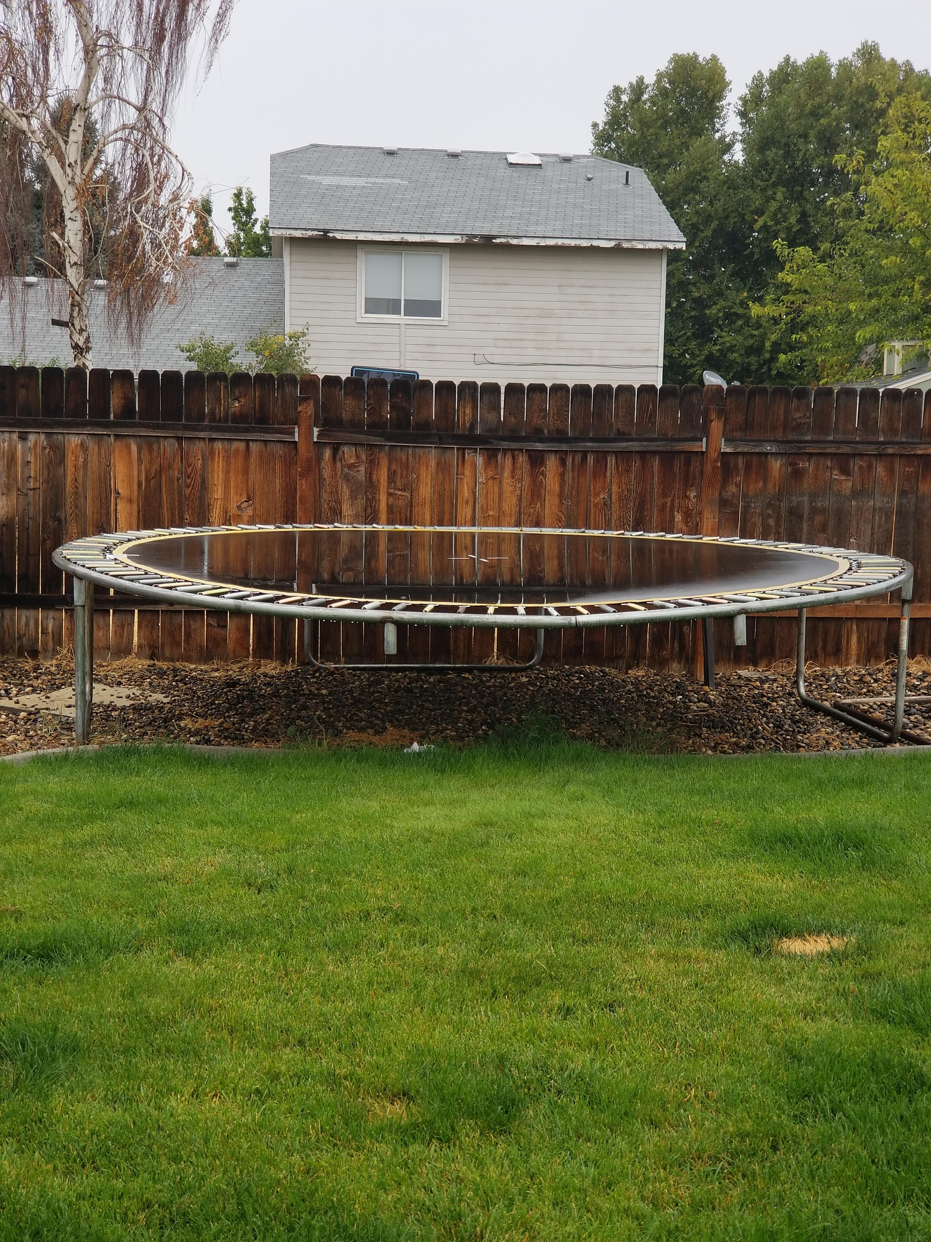 The water reflecting off our old trampoline makes it look invisible r