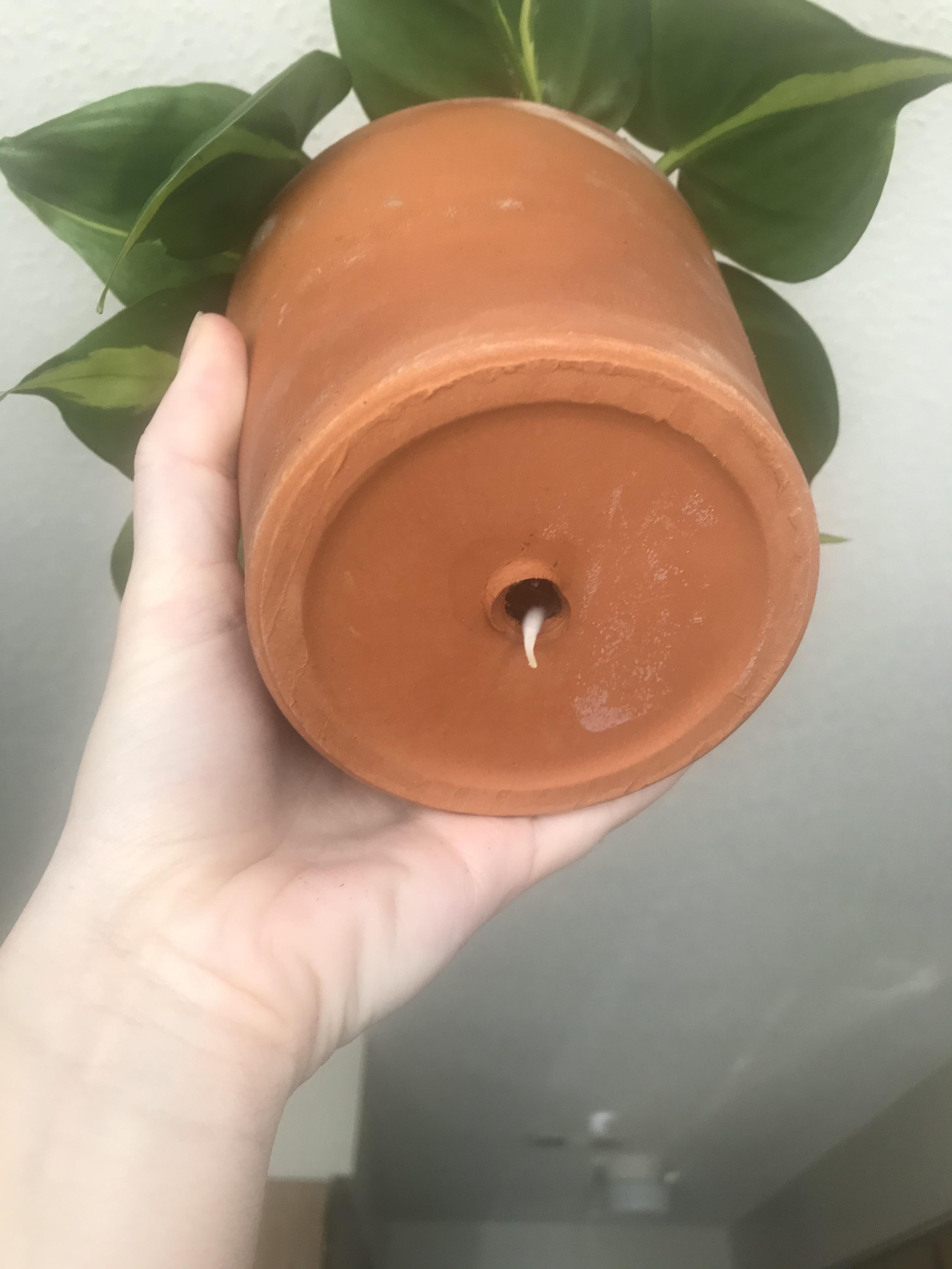 Does this mean it’s time for a bigger pot? r/plants