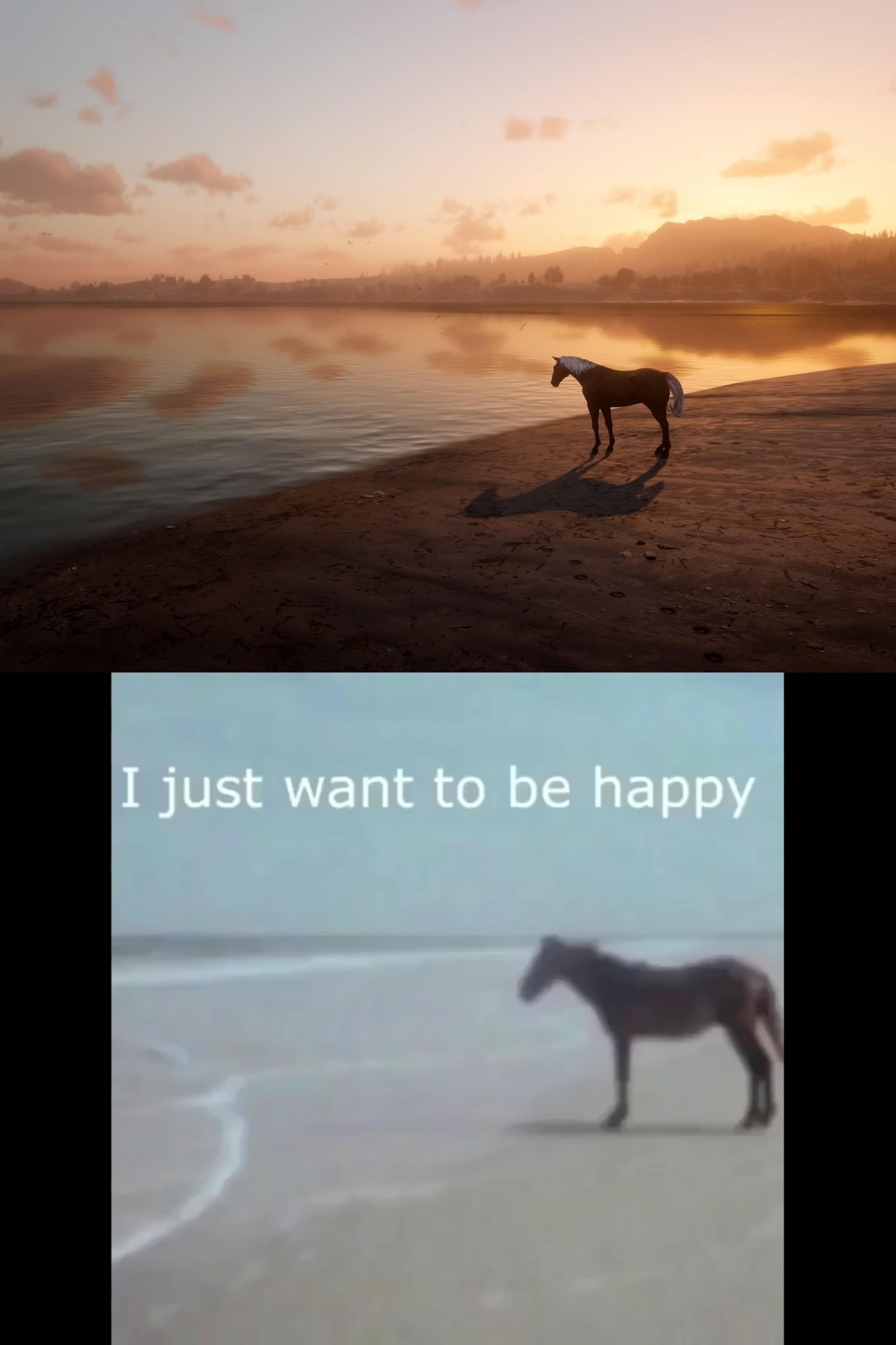 Saw this Horse by the beach, which reminded me of this meme I once saw