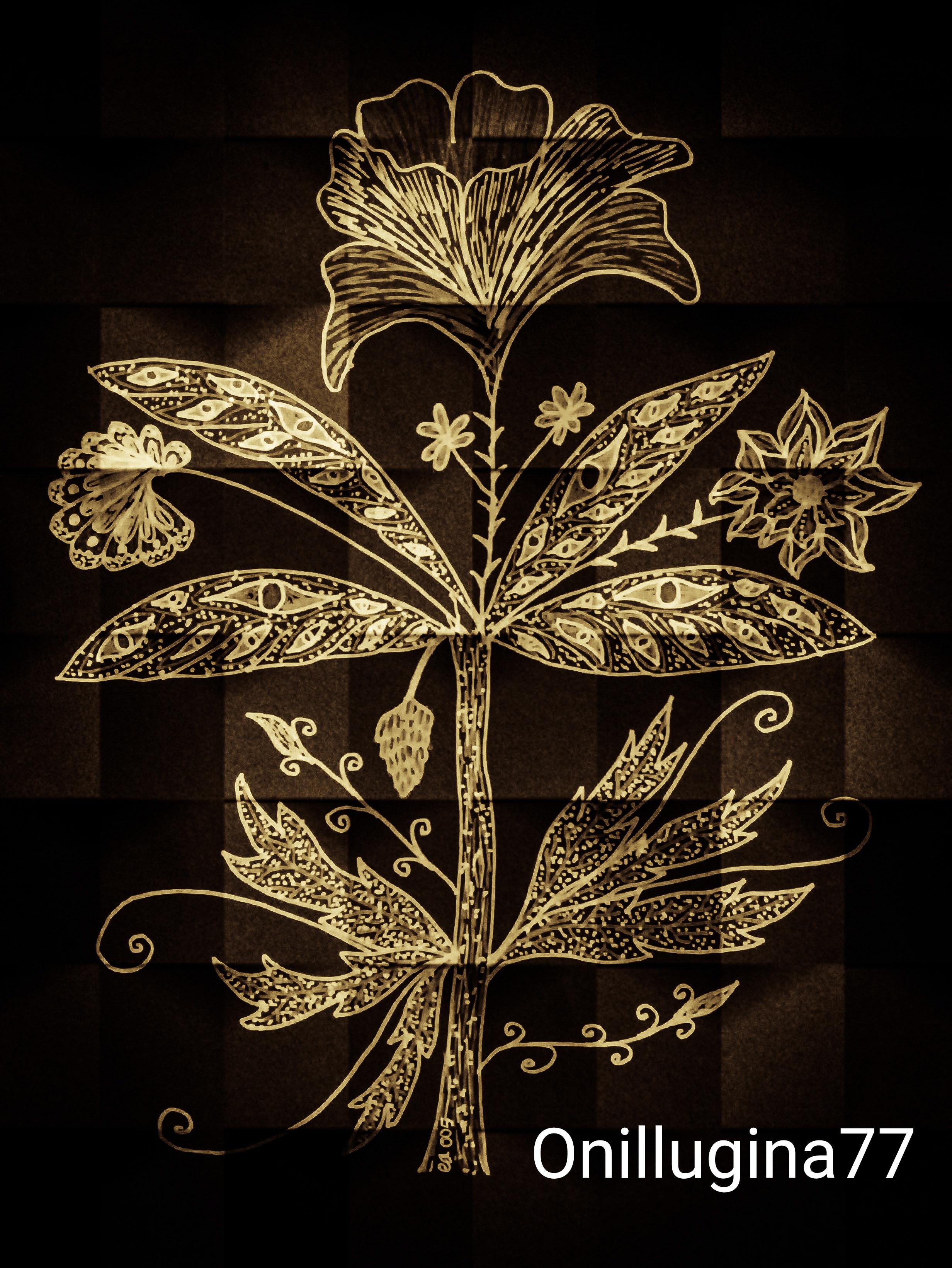 test123...test123...Imagination Flower NFT