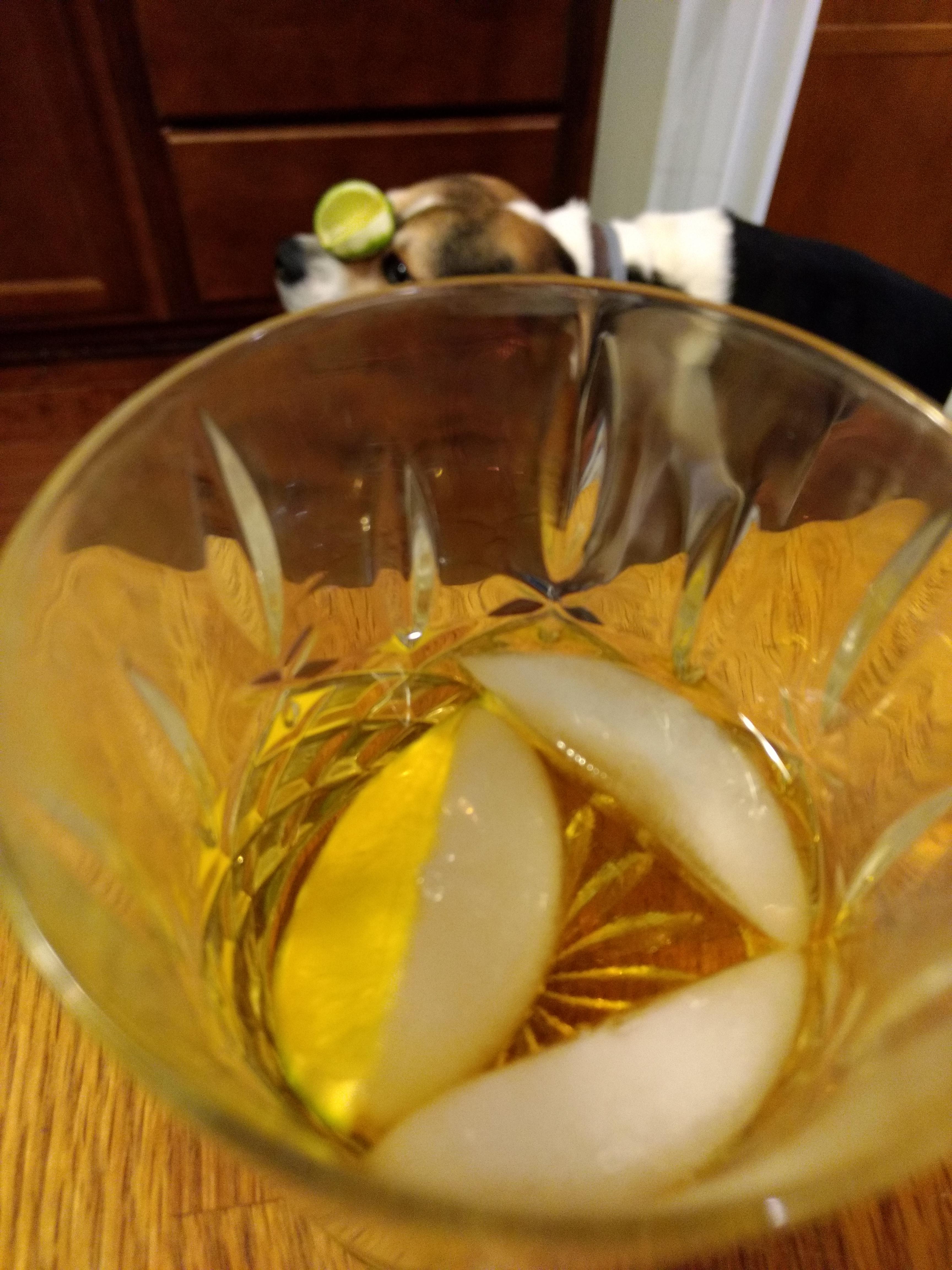 Aged rum with lime on ice r/cocktails