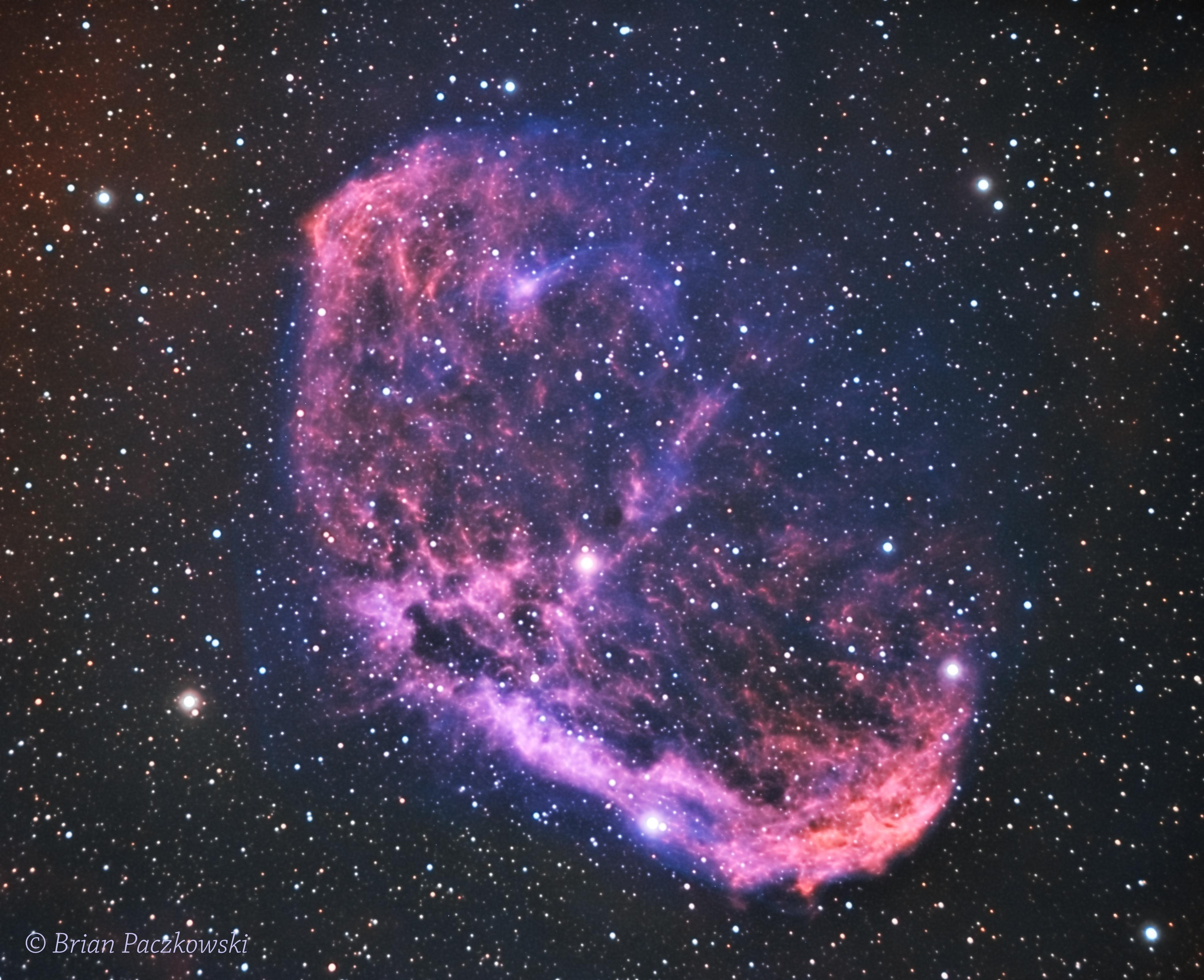 The Crescent Nebula (NGC6888) in Narrowband r/astrophotography