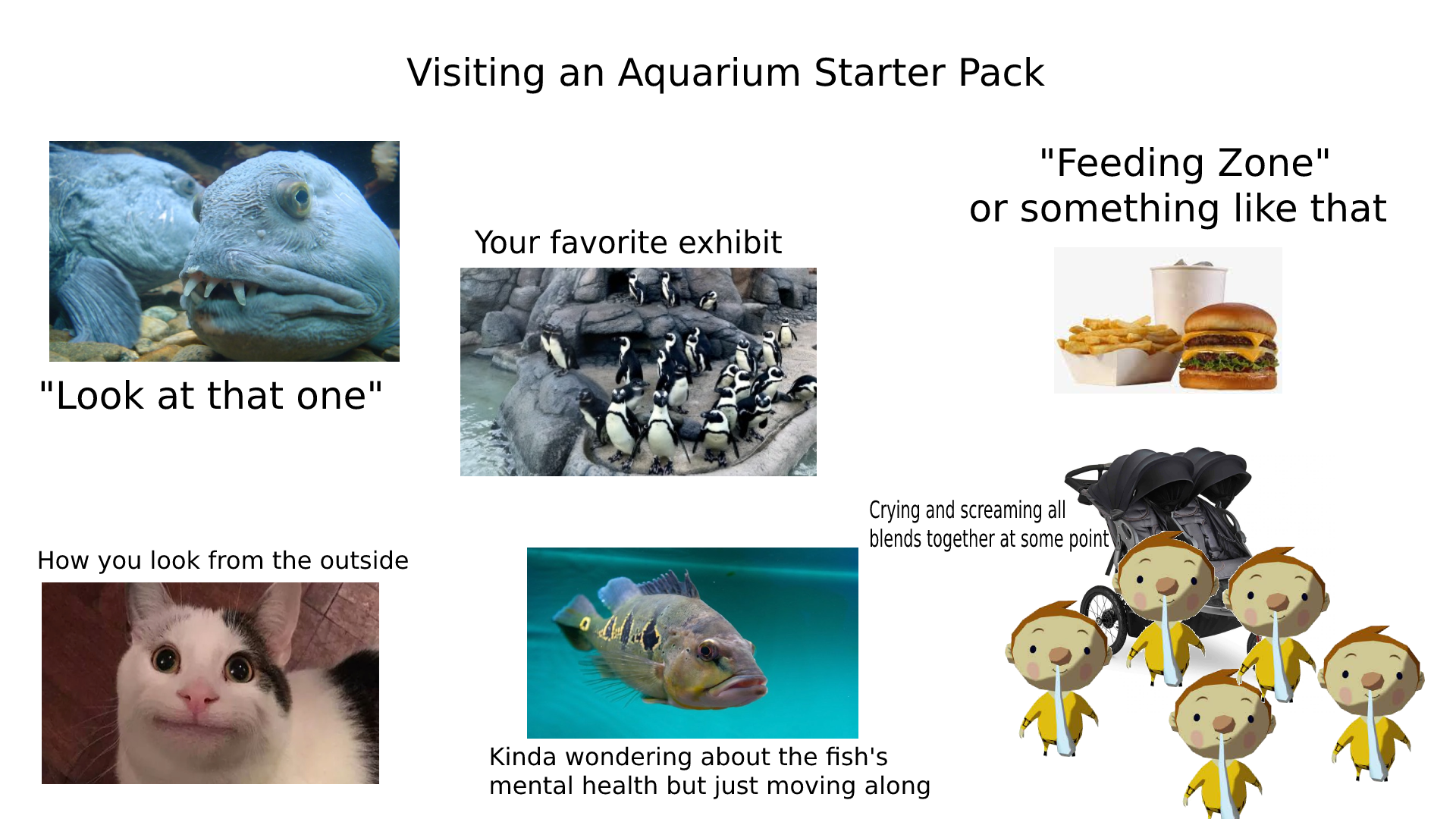 Visiting an Aquarium Starter Pack r/starterpacks