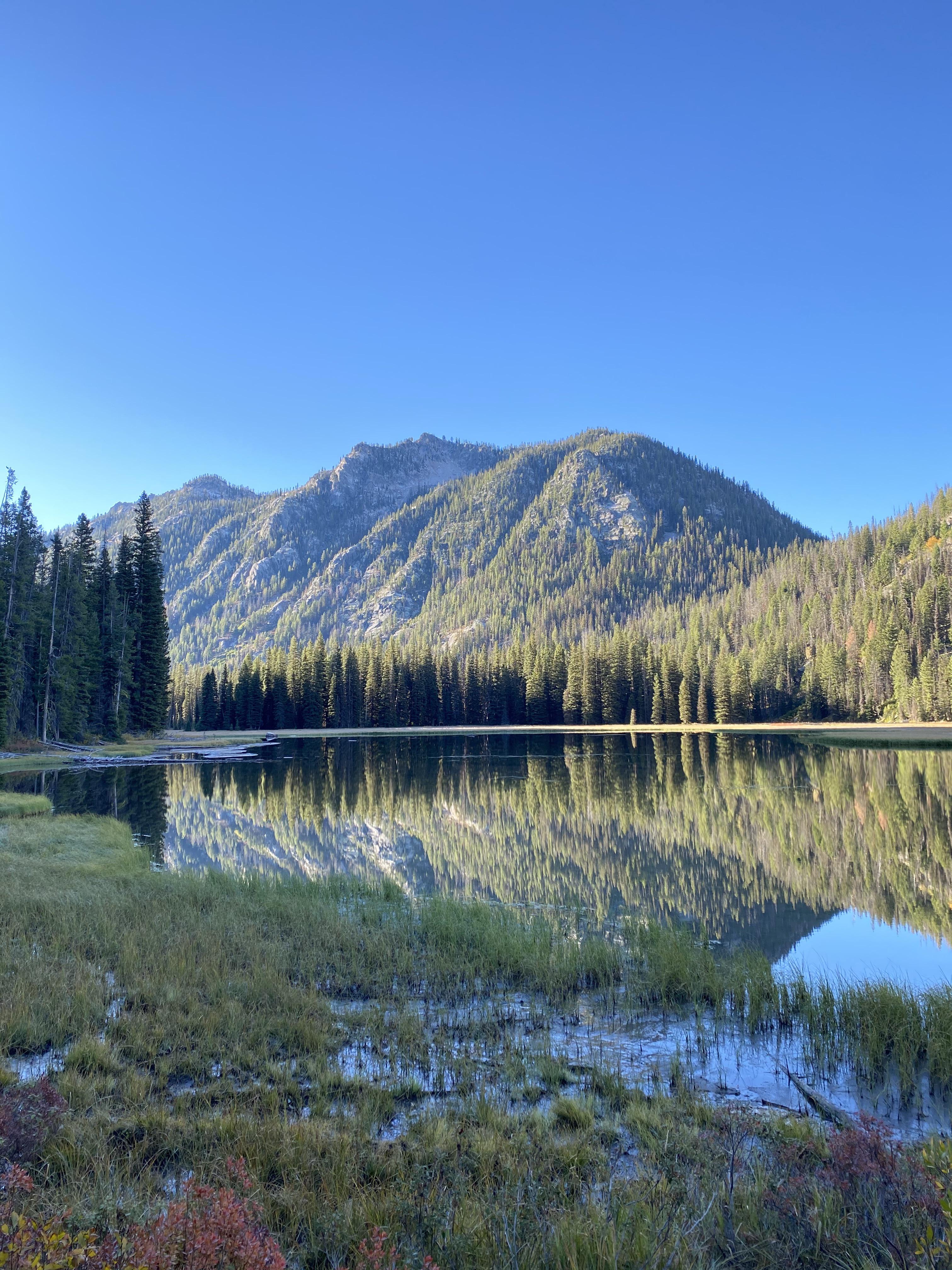 87 best Elk Lake images on Pholder Earth Porn, Victoria BC and