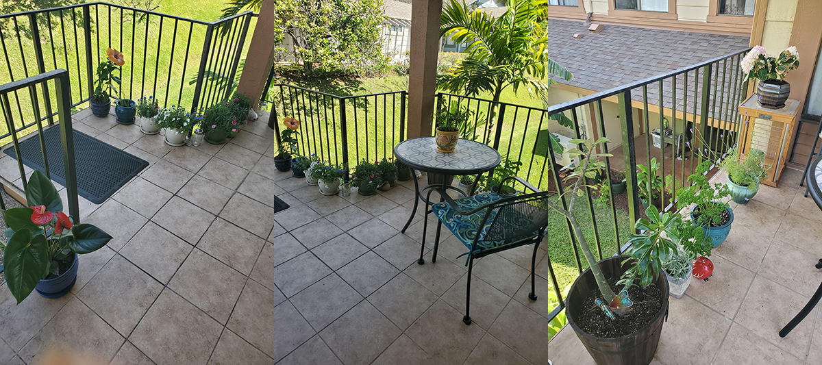 I just started gardening this year and after finding this kind subreddit I wanted to show my