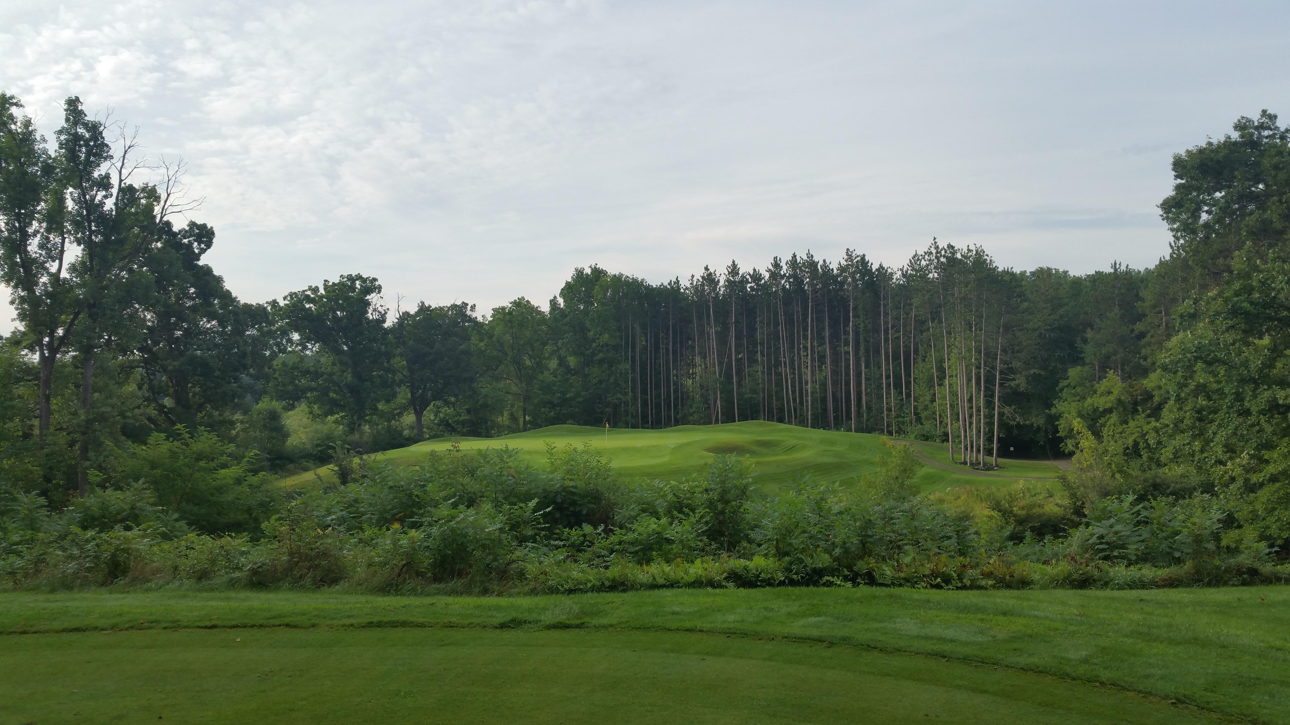 Part 3 over some shit. Majestic at Lake Walden. Hartland, MI r/golf