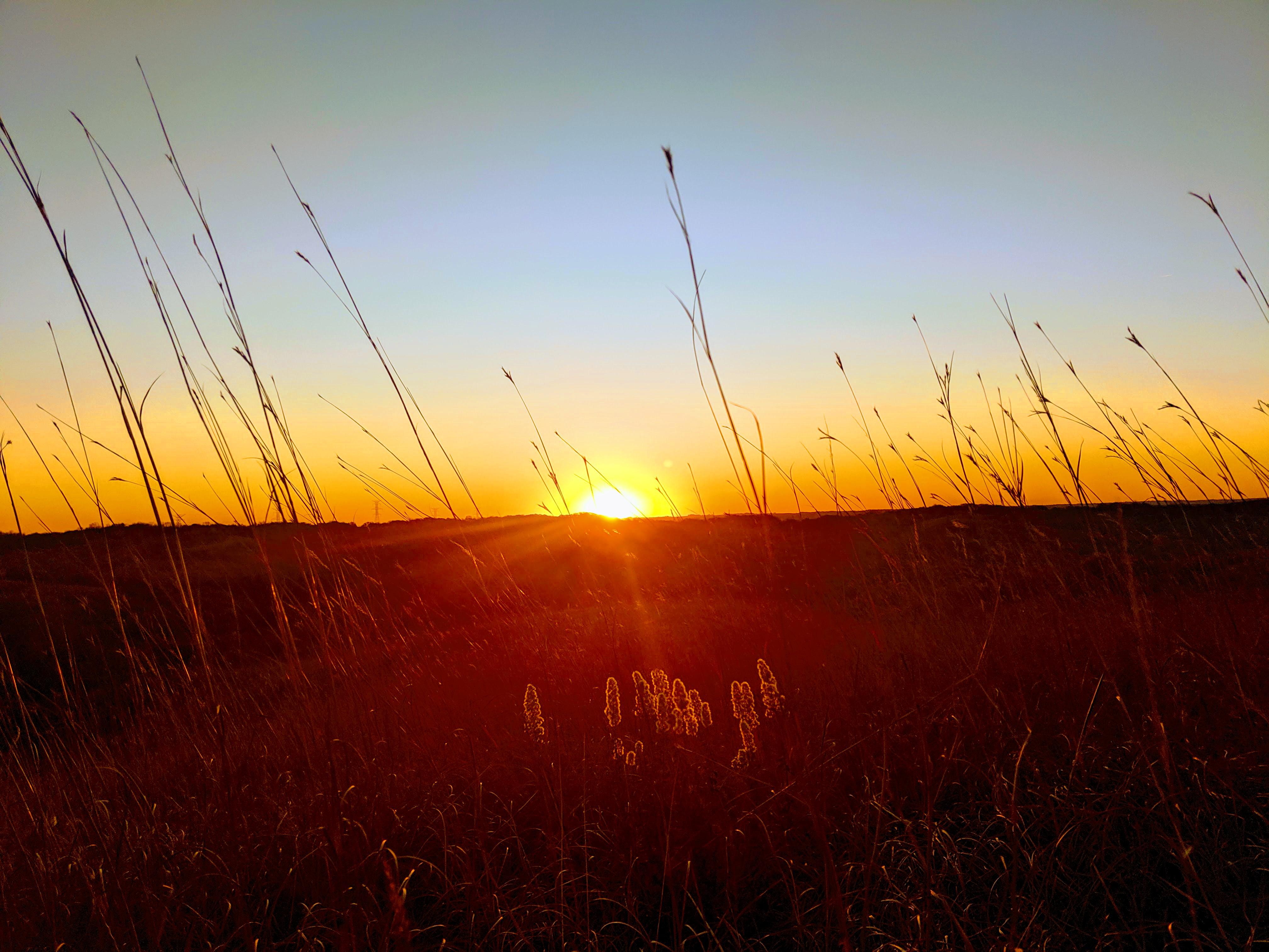 Sunrise in one of Iowa's last intact prairies [OC] [4032x3024] r