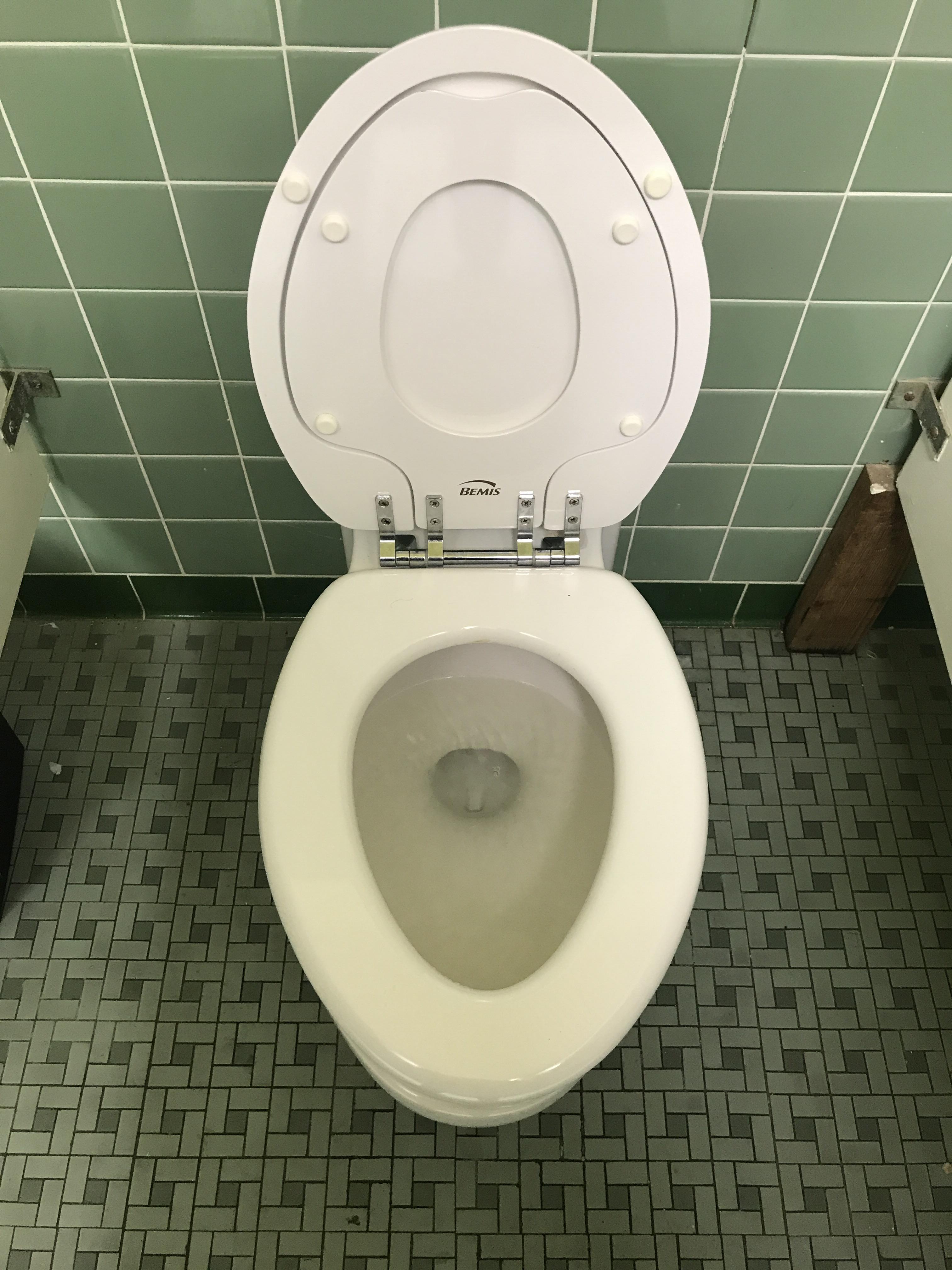This toilet has an additional seat for children. r/mildlyinteresting