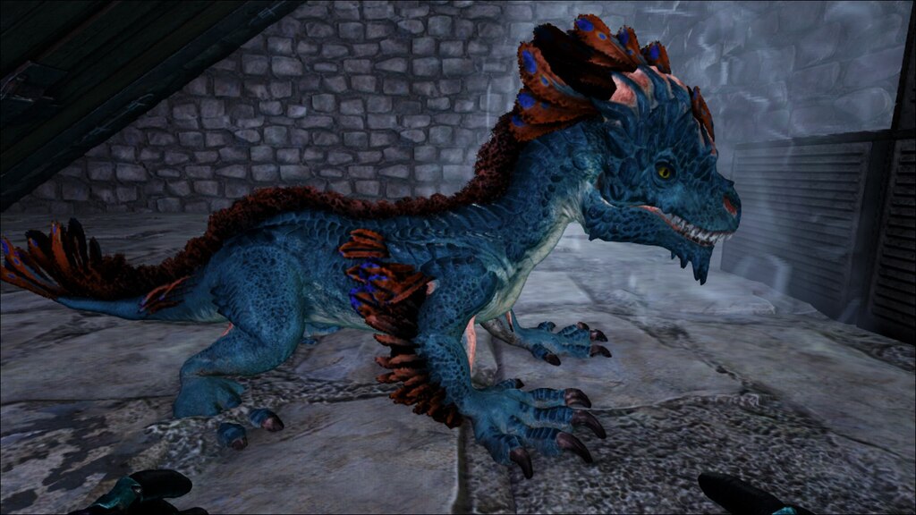 Cute Baby Rock Drake r/ARK