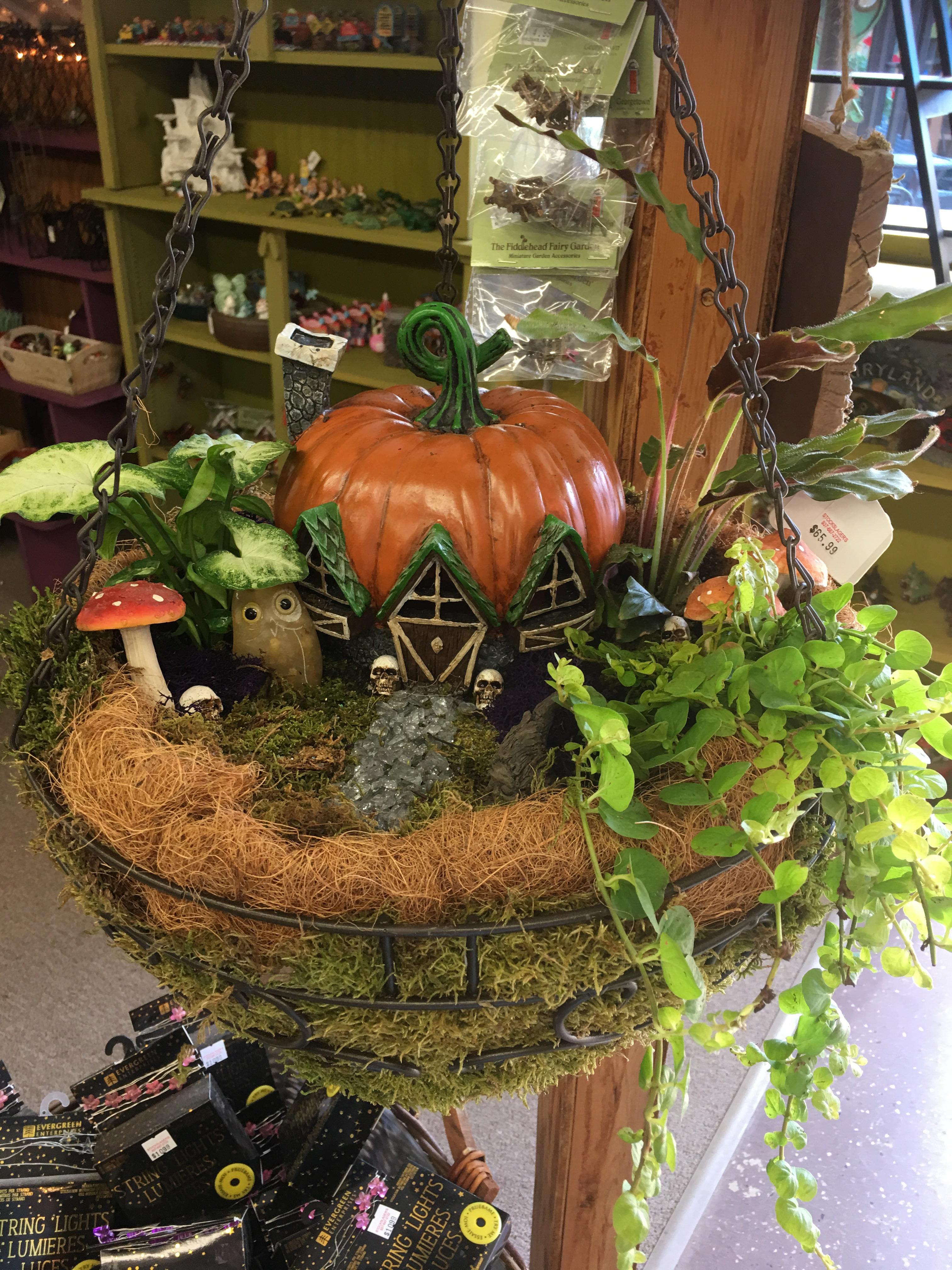 Hanging basket Halloween fairy garden r/FairyGardens
