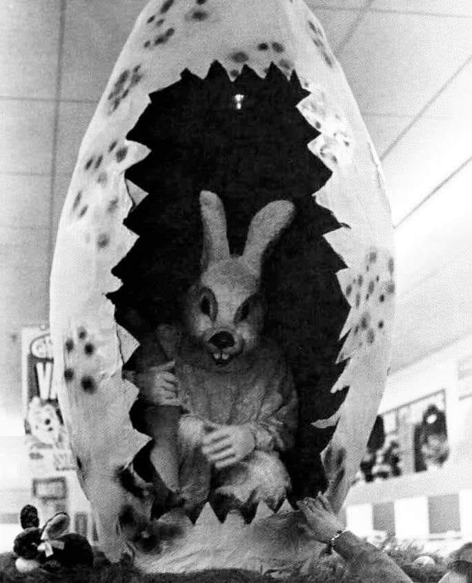 An Easter bunny squatting inside a giant hatched egg at Nichols