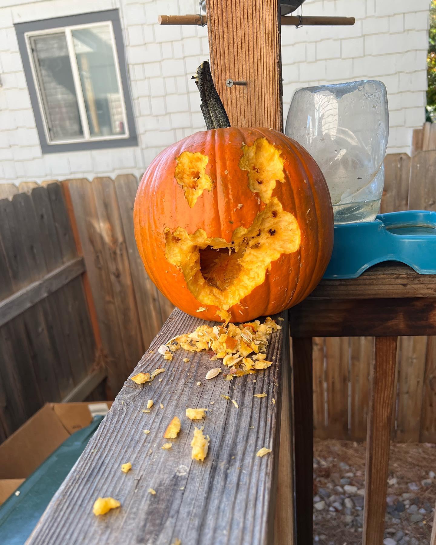 Squirrel Pumpkin Stencil
