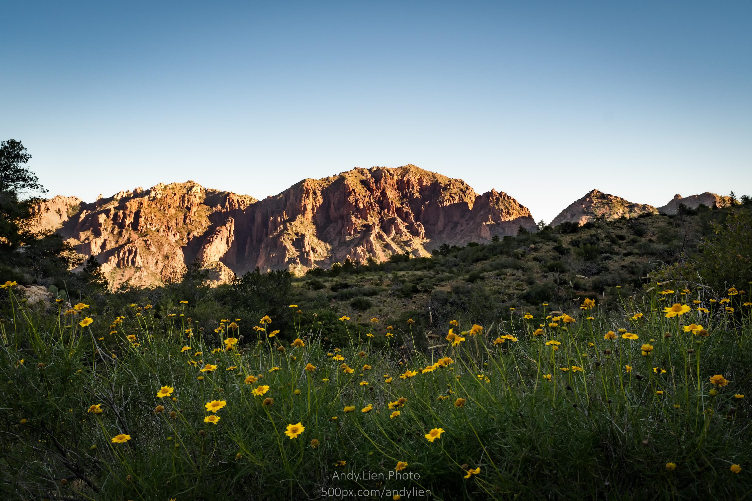 Laguna Meadows, Big Bend National Park [OC] [3000x2000] r/EarthPorn