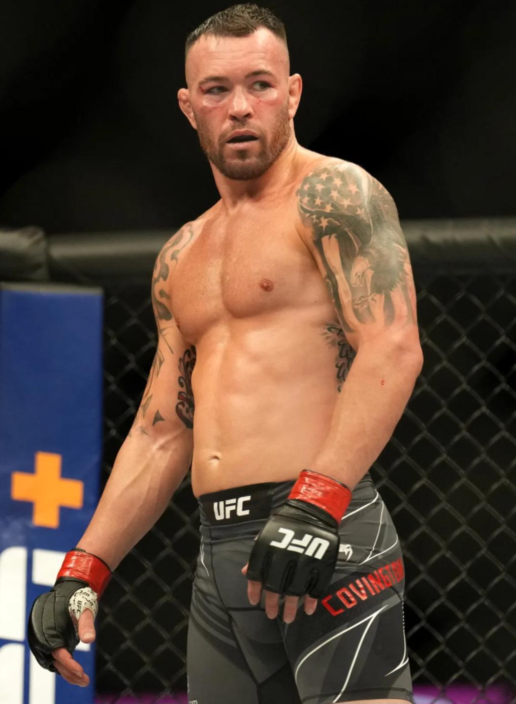 3 title fight losses, him not accepting the McGregor comain(02)