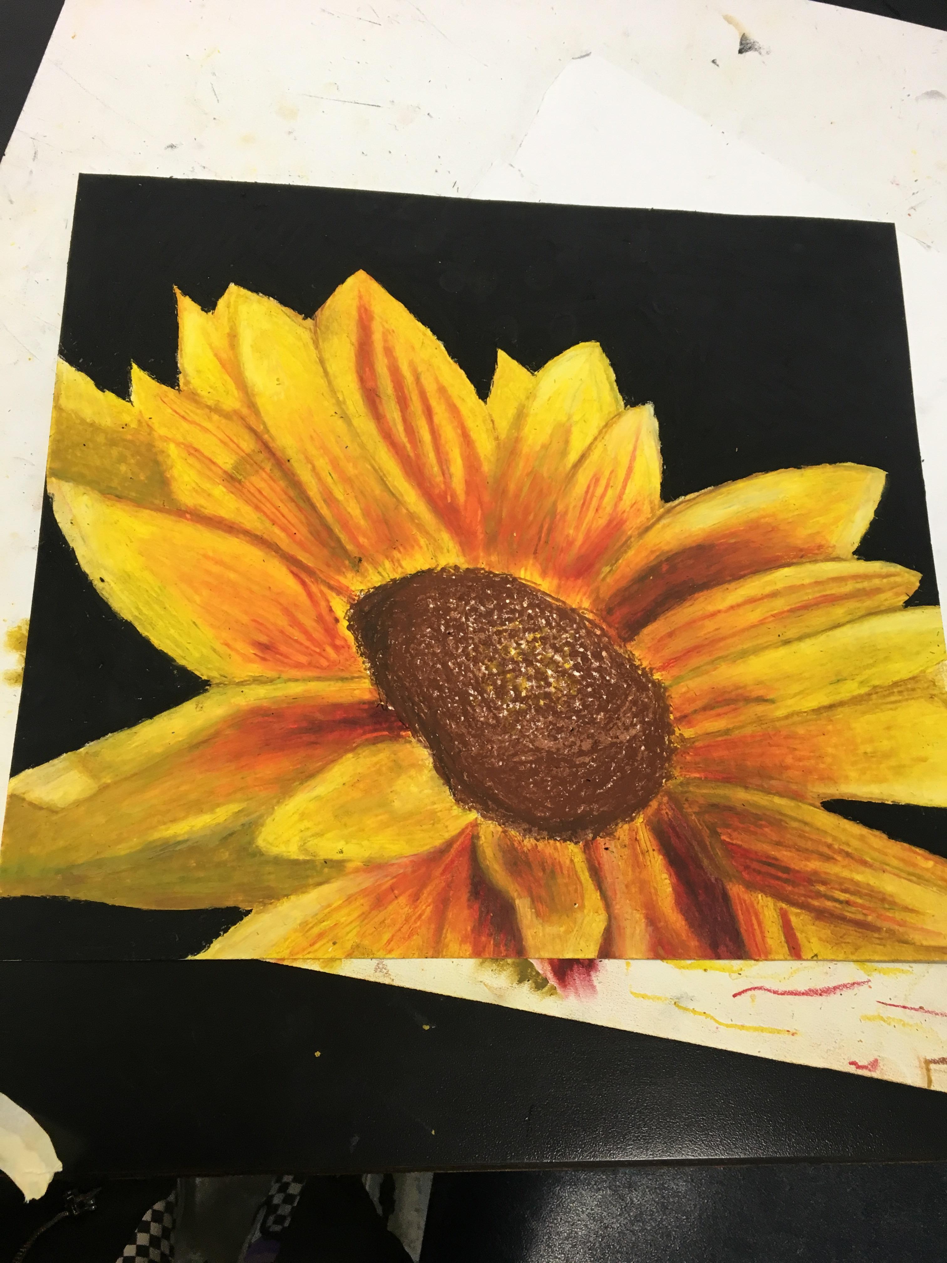 Flower Oil Pastel Paintings