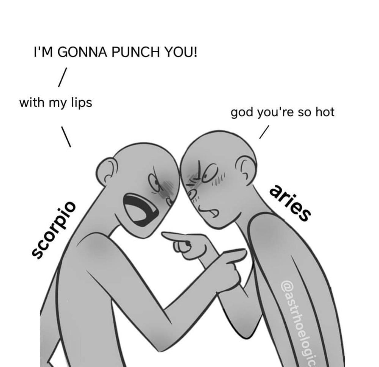 Scorpio & Aries astrologymemes