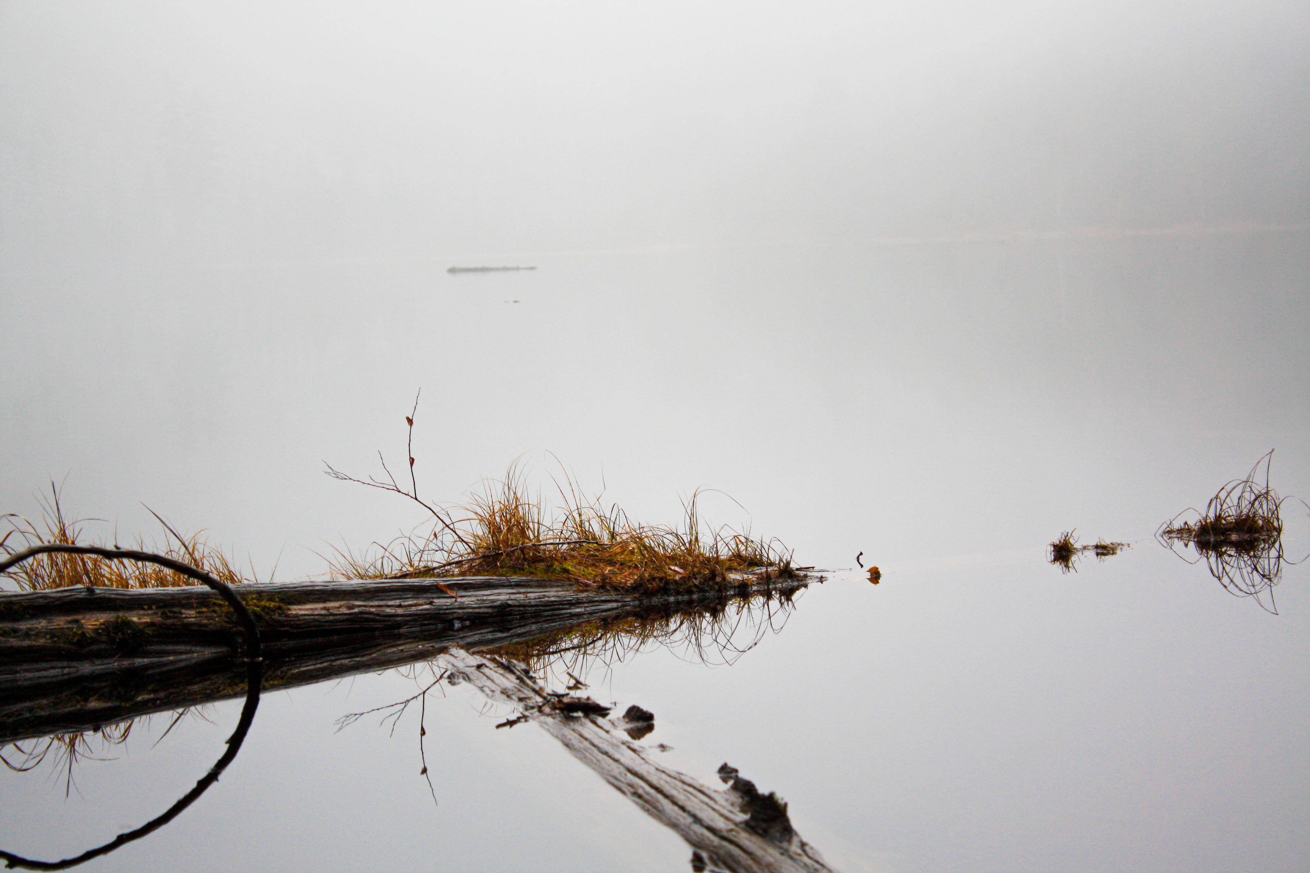 I love this photo, but something is off. I am babystepping my way