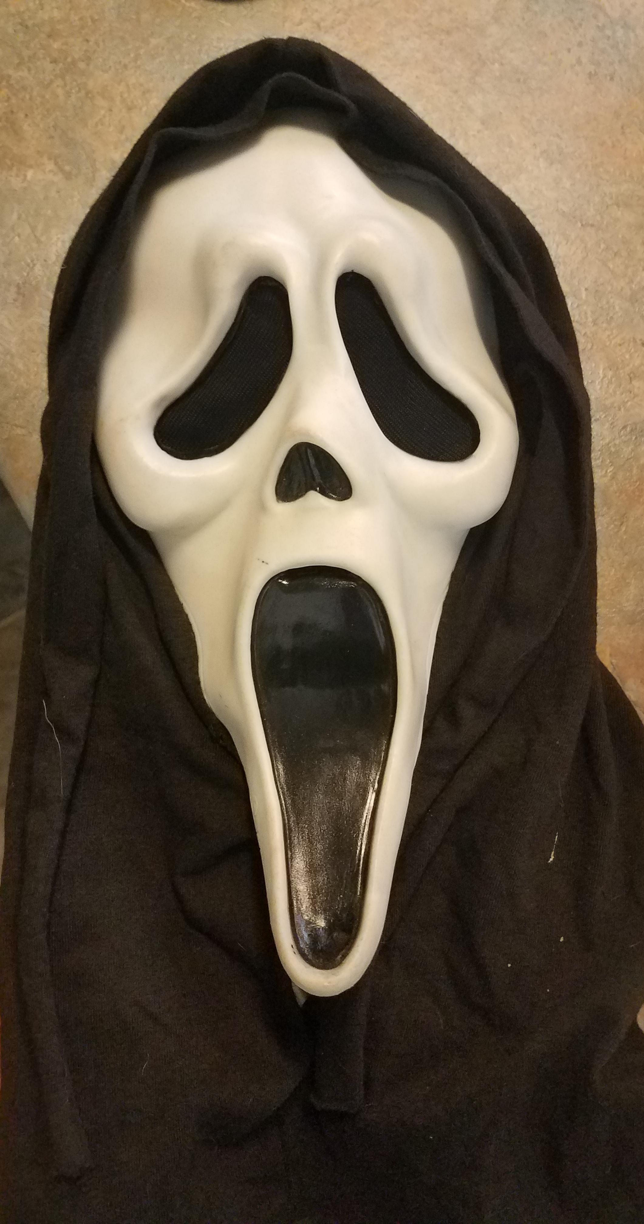 THE Scream mask (FUN WORLD DIV) r/90s
