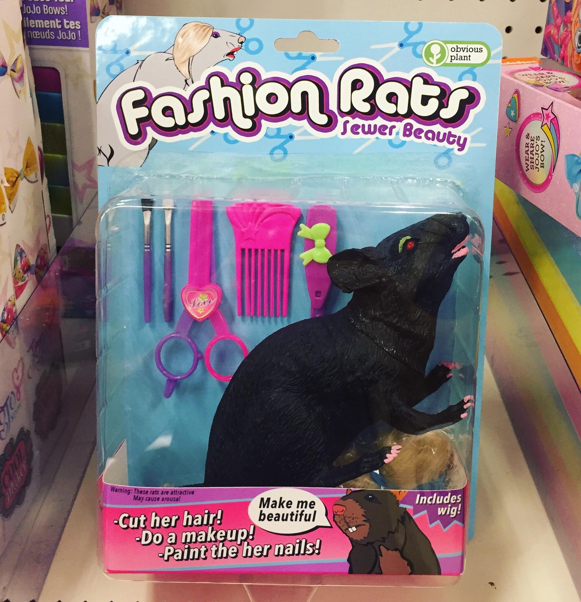 I think I found a picture of sexy rat. r/Dimension20