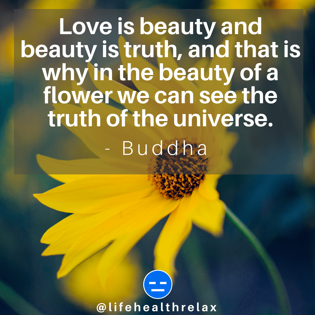 [Image] Love is beauty and beauty is truth, and that is why in the