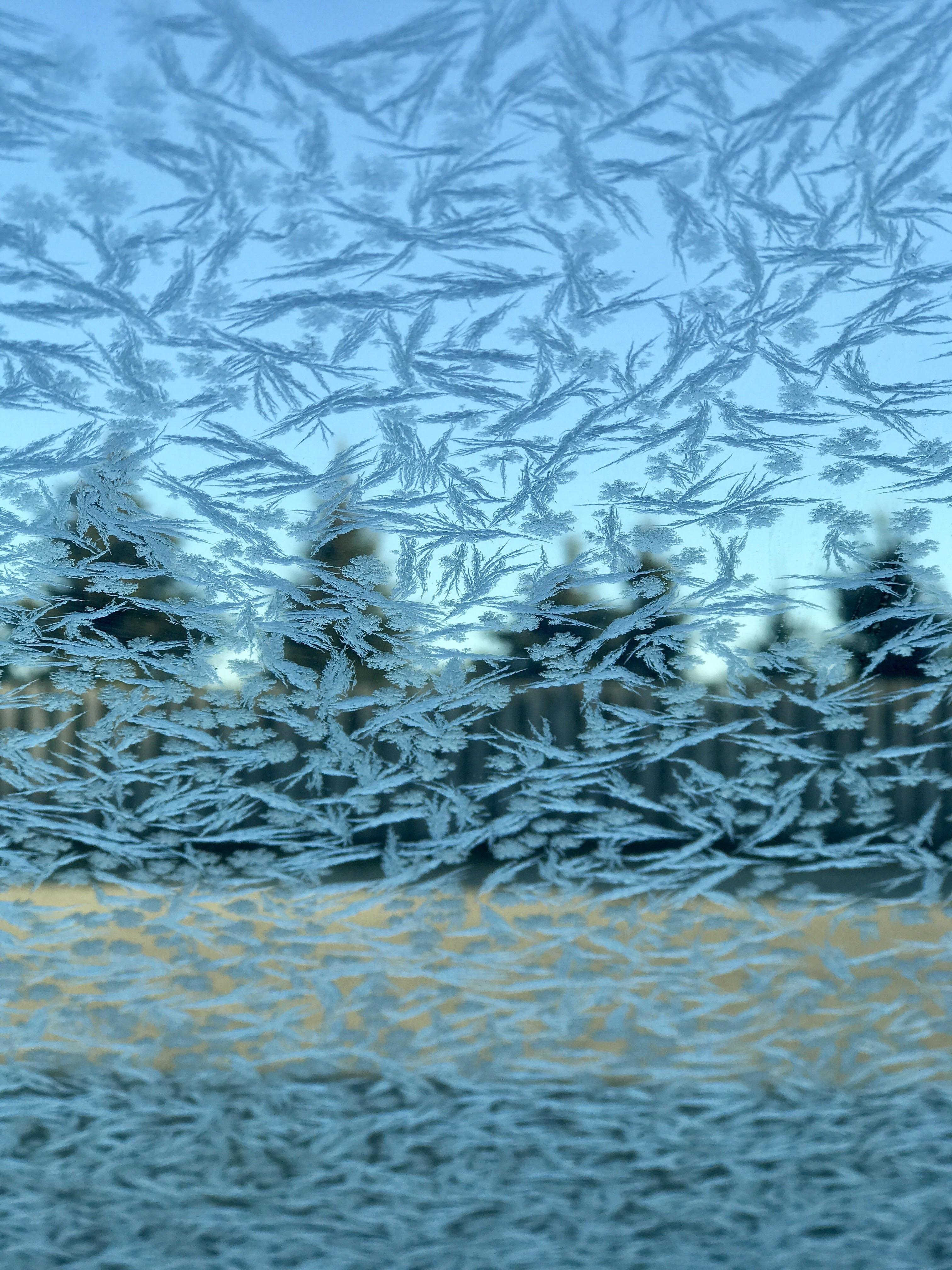 The view from inside my car in Grand Rapids, Michigan [1334x750] r