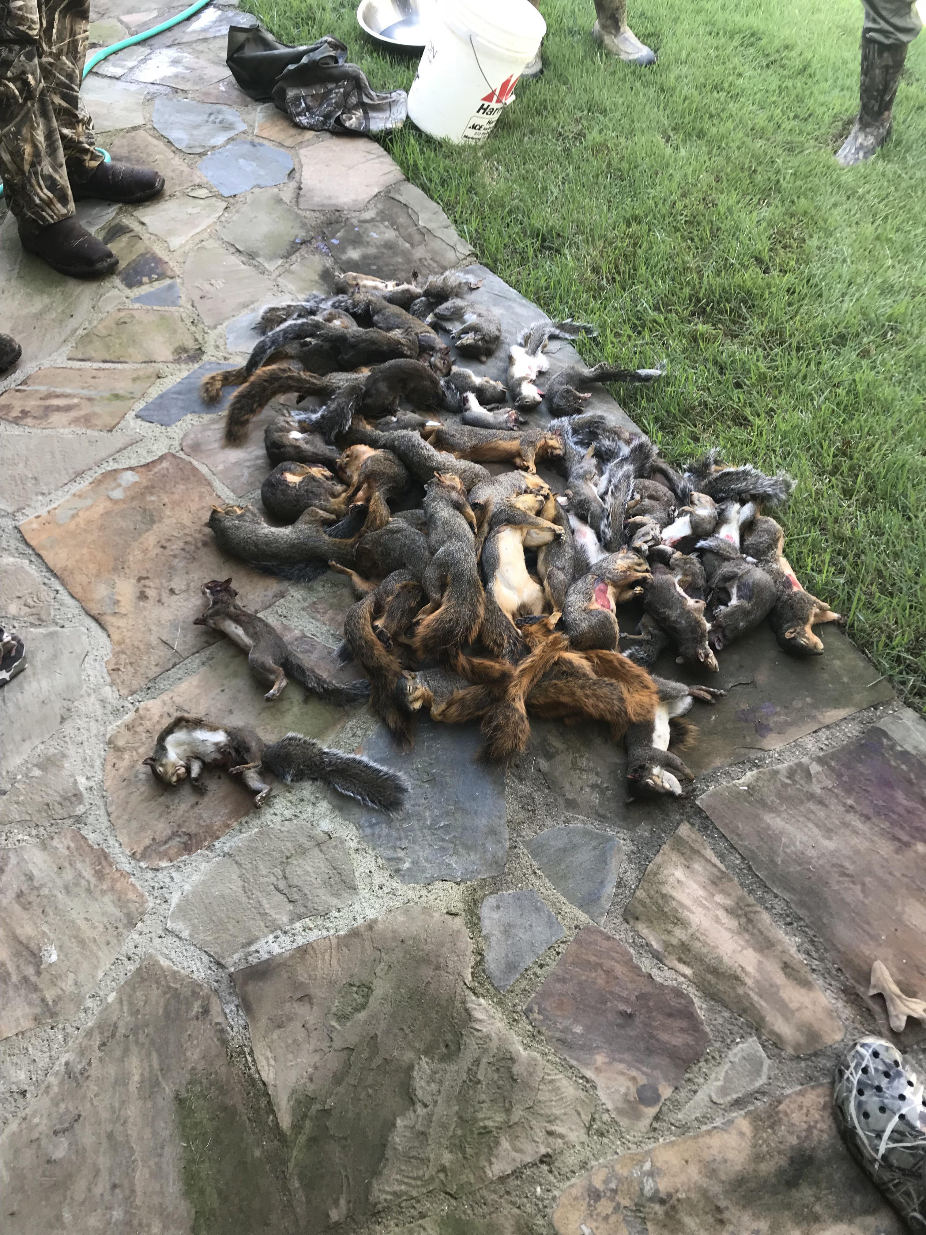 This was our haul from Saturday morning. There are 48. We got another