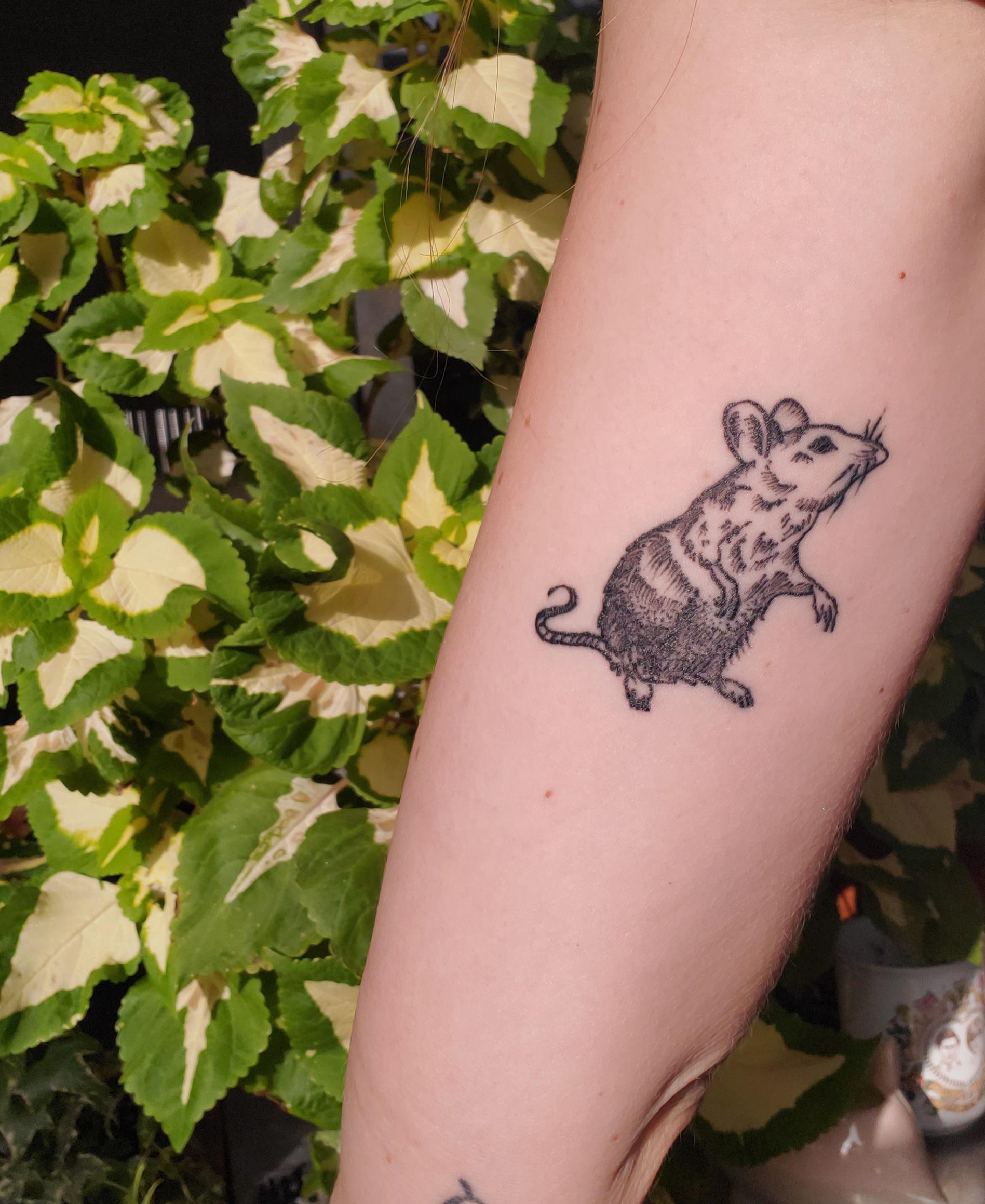 Update more than 131 cute mouse tattoo vova.edu.vn